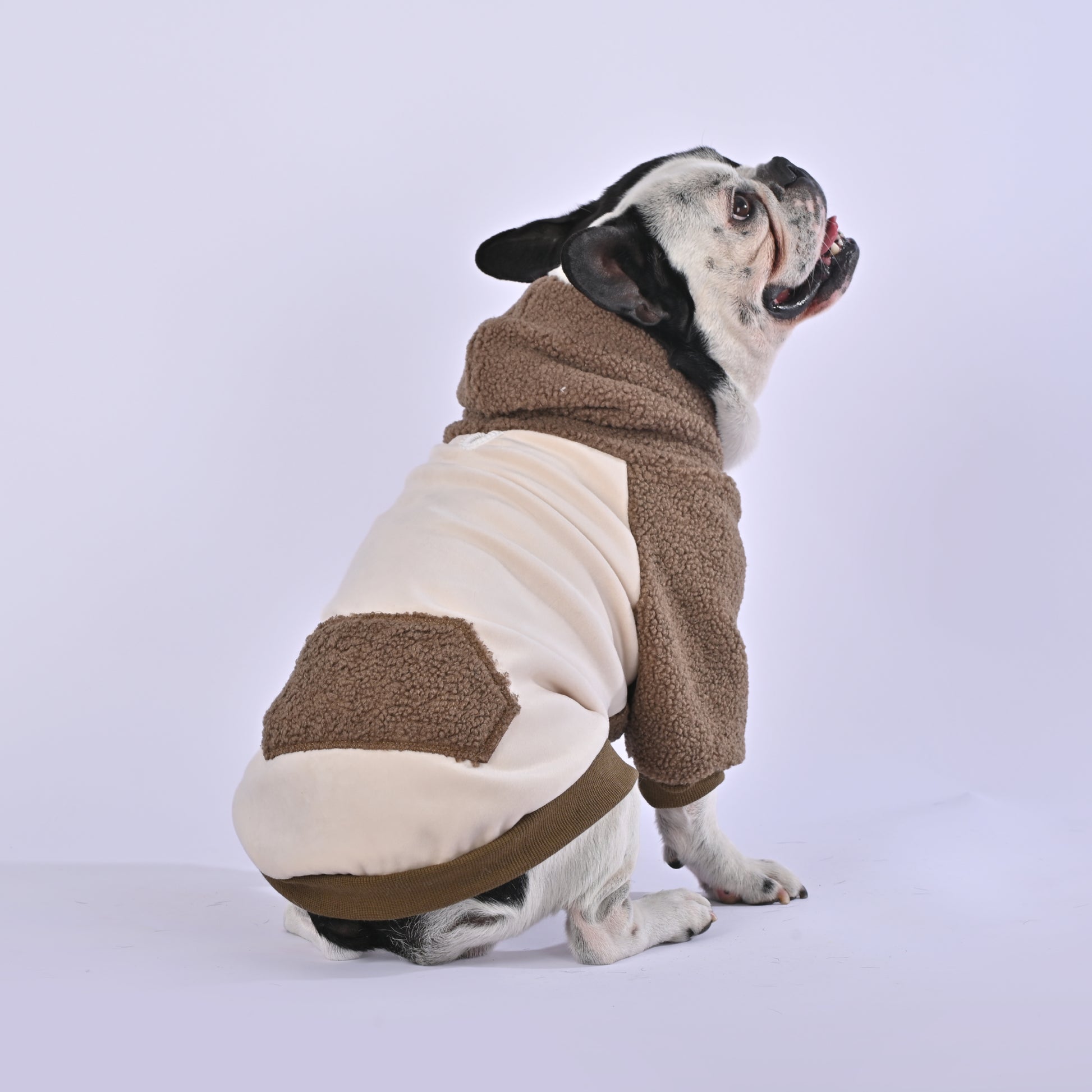 Fluffy Choco Hoodie - Frenchie.us