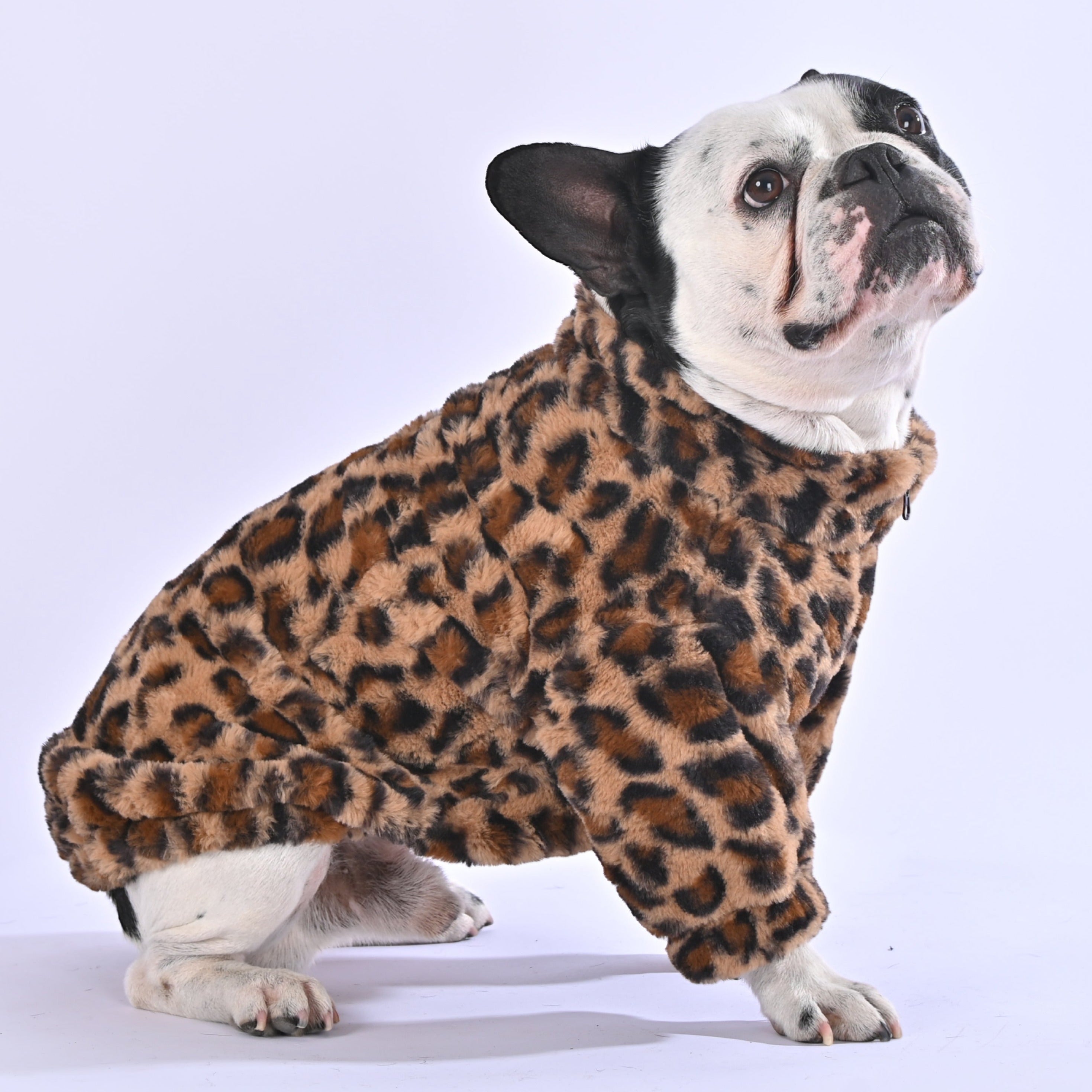 Luscious Leopard Sweater - Frenchie.us
