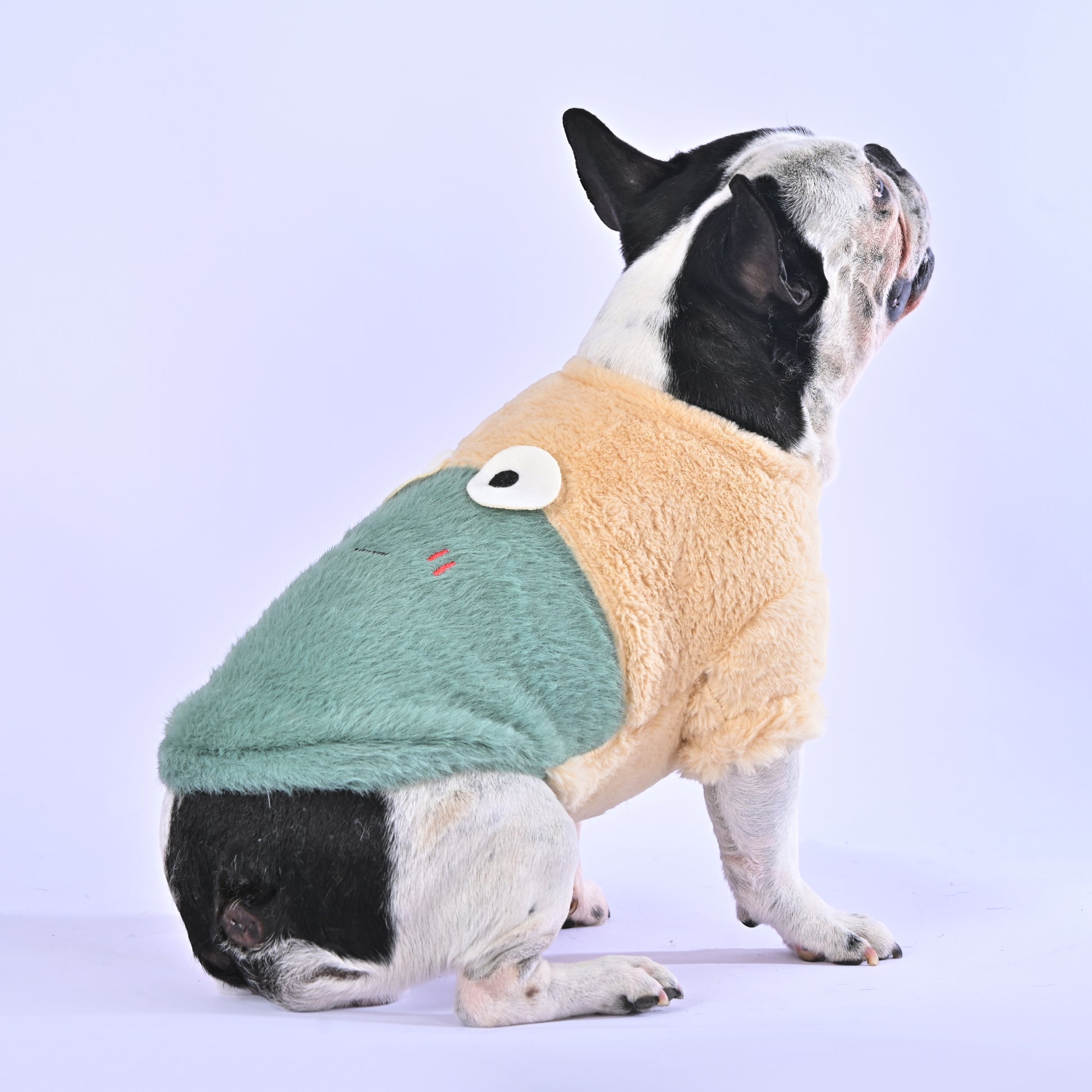 Cozy time Sweater - Frenchie.us
