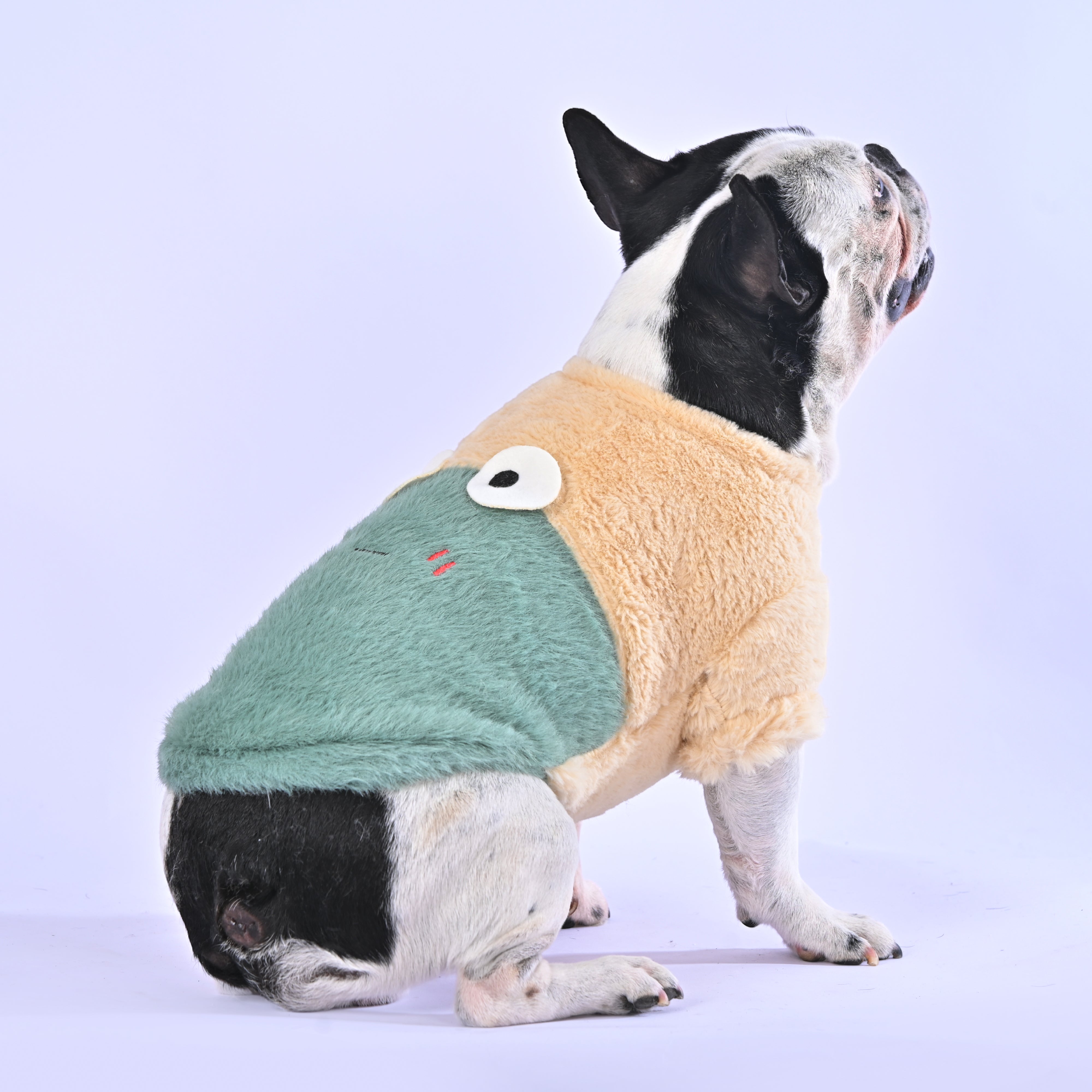 Cozy time Sweater - Frenchie.us
