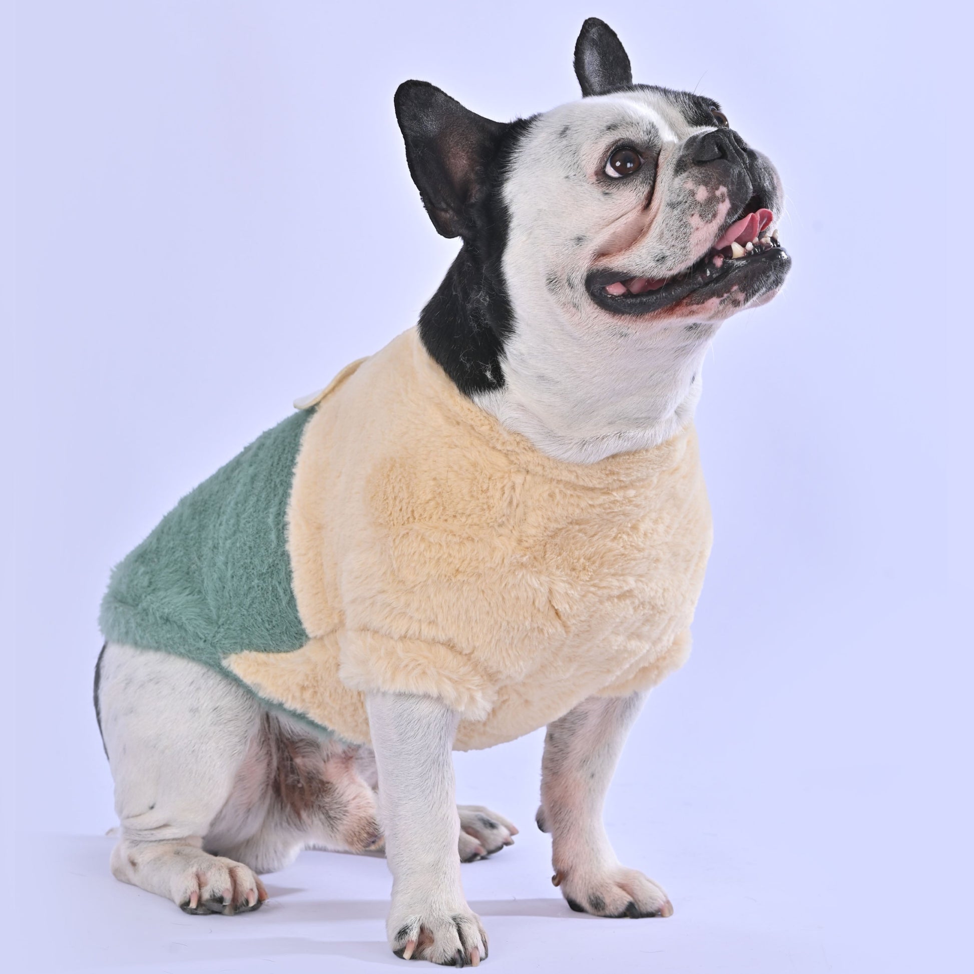 Cozy time Sweater - Frenchie.us