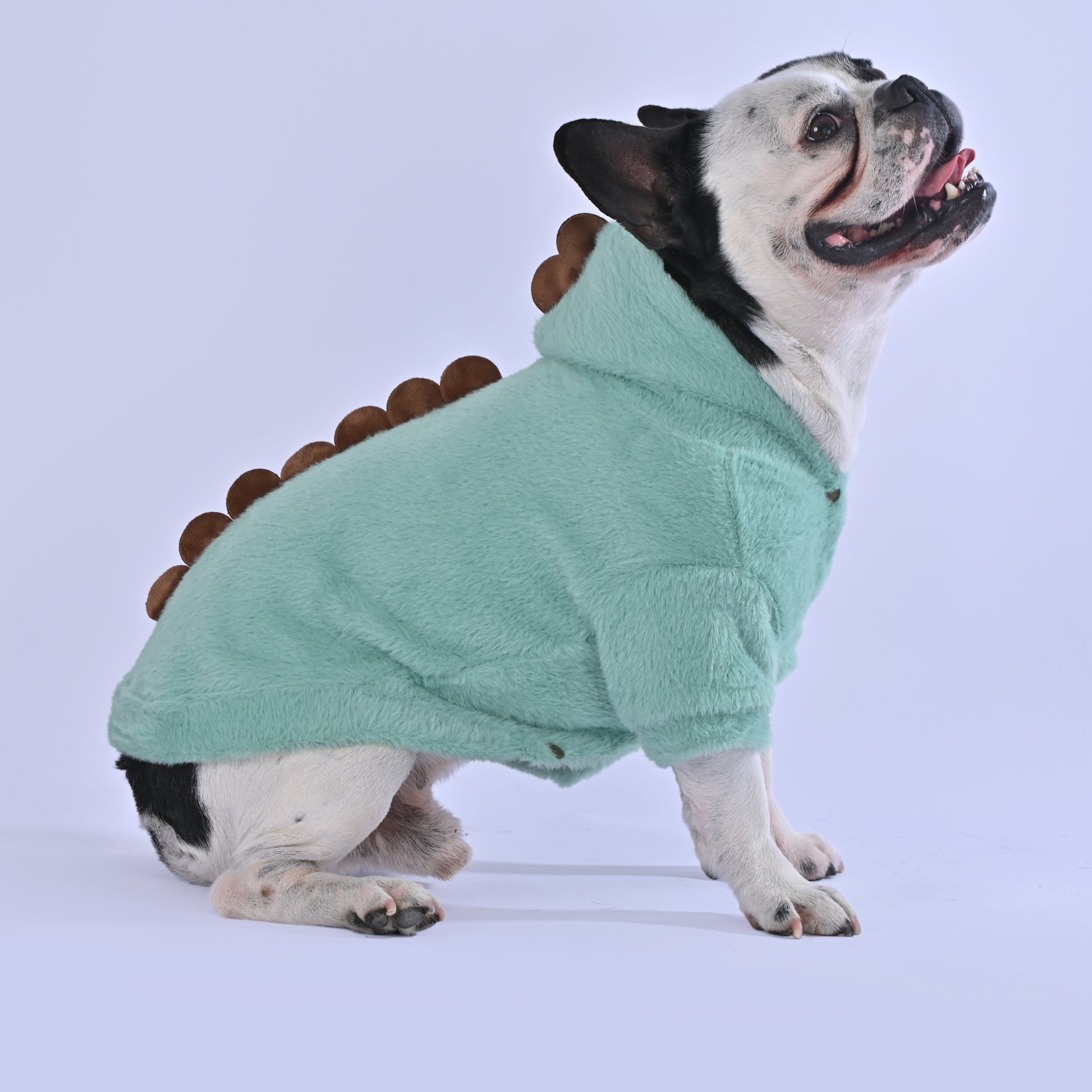 Dino-doggo Hoodie - Frenchie.us