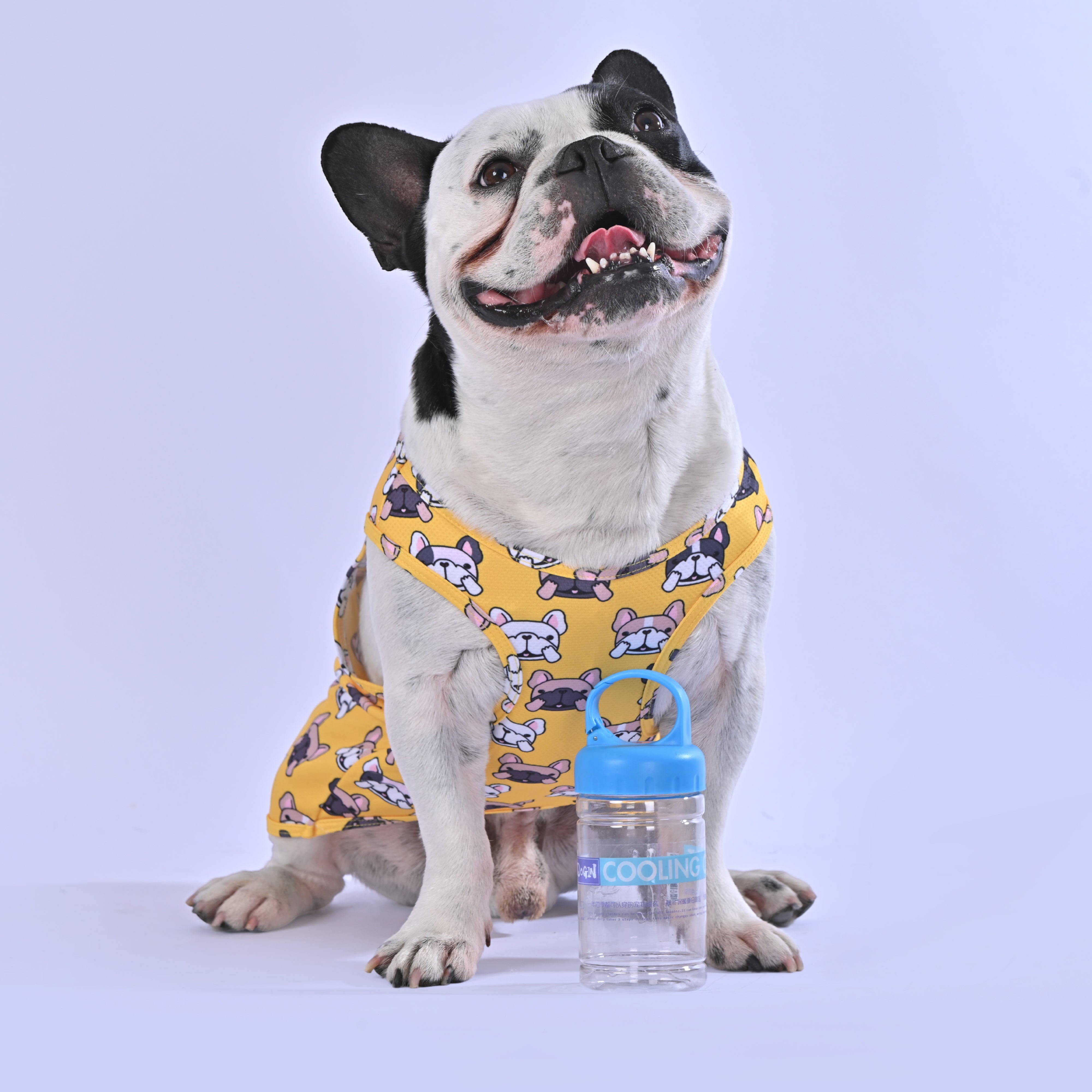 Cooling Shirt for Frenchies