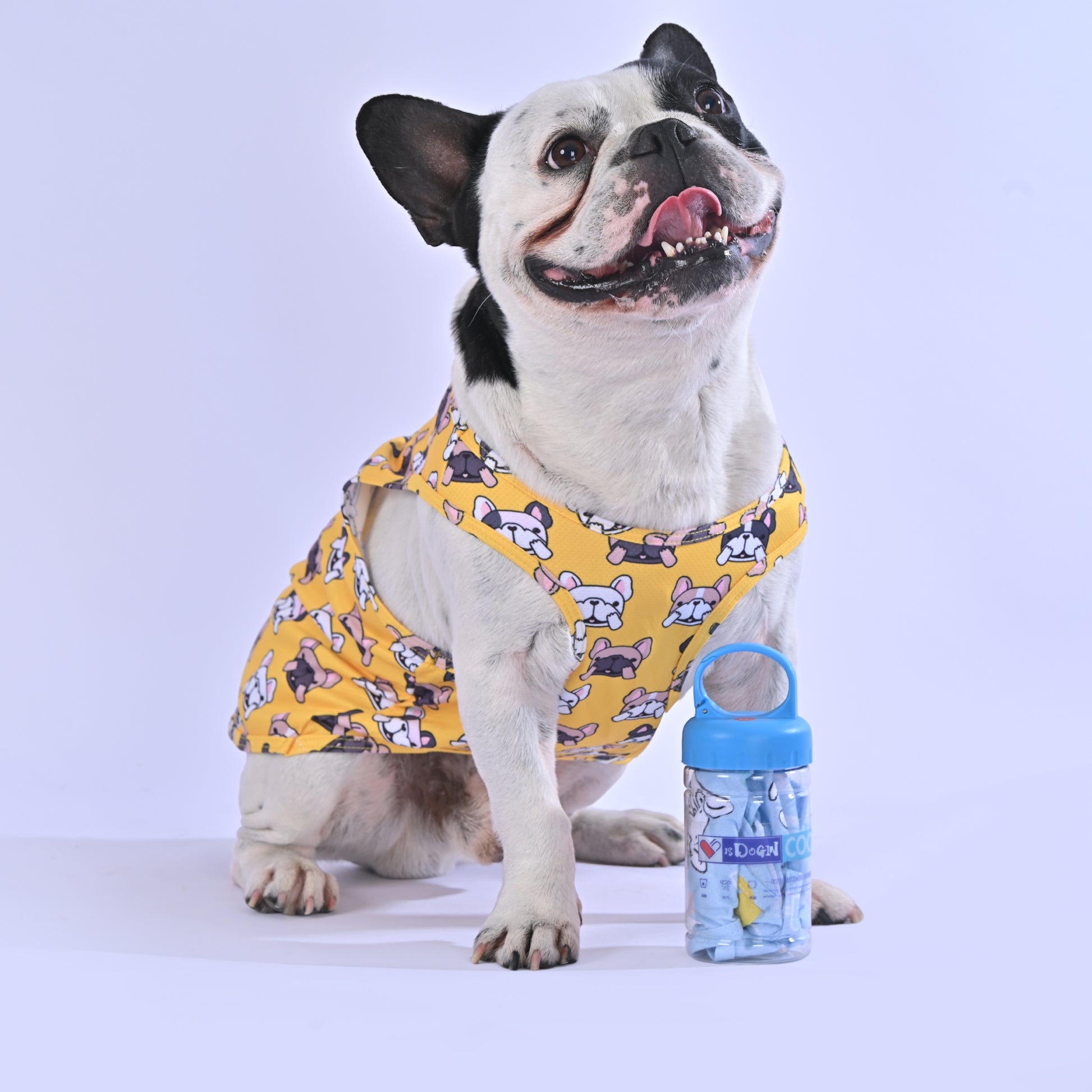 Cooling Shirt for Frenchies - Frenchie.us