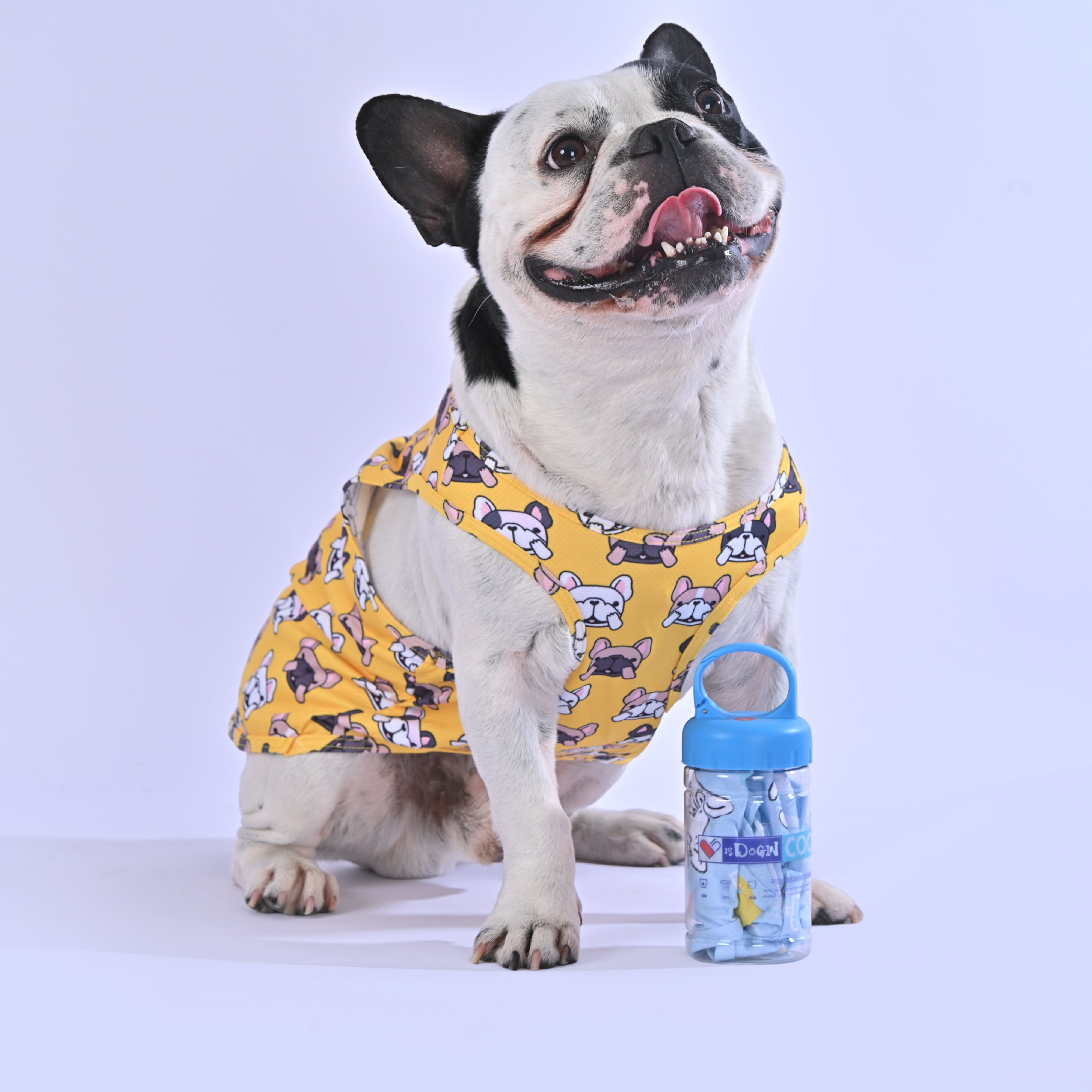 Cooling Shirt for Frenchies