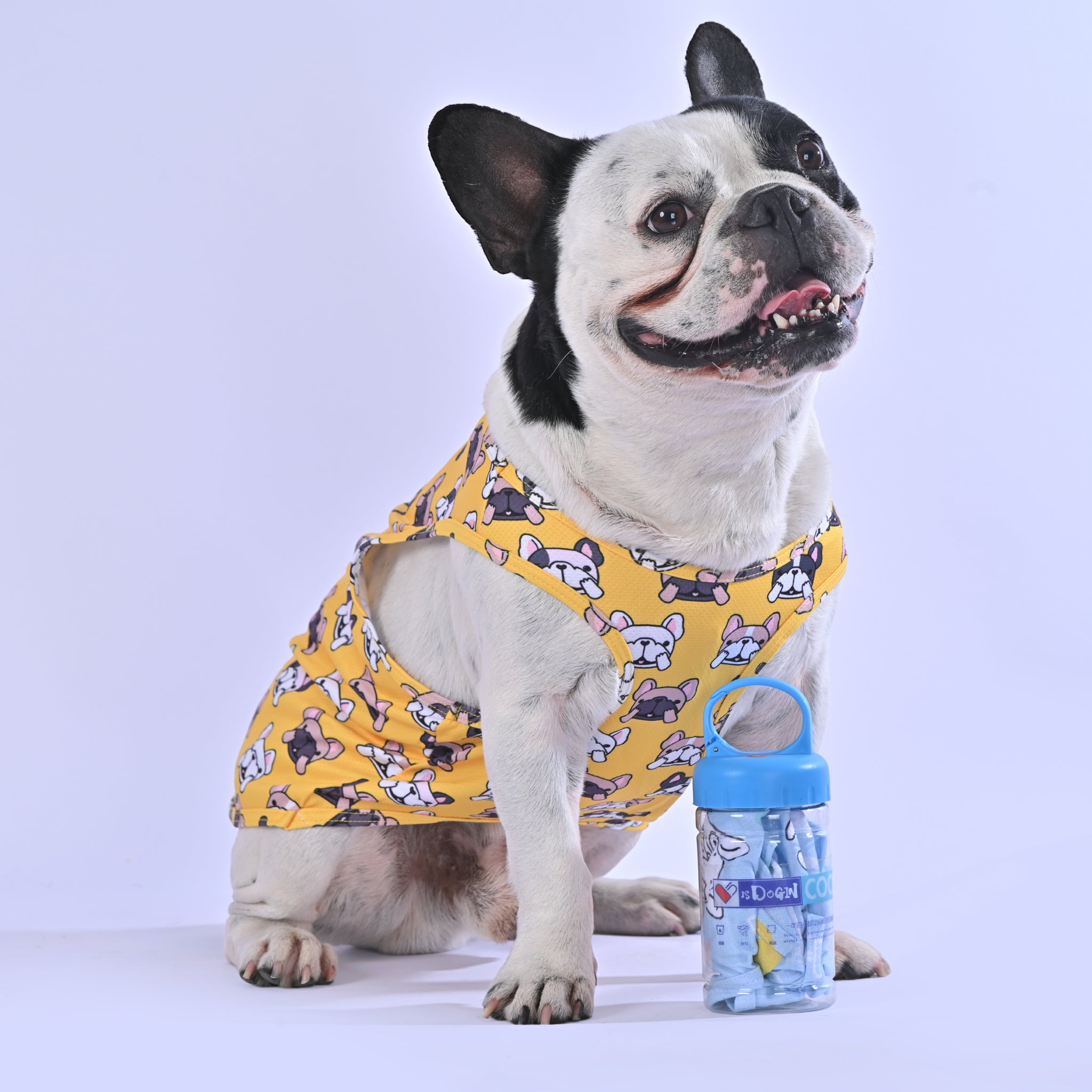 Cooling Shirt for Frenchies
