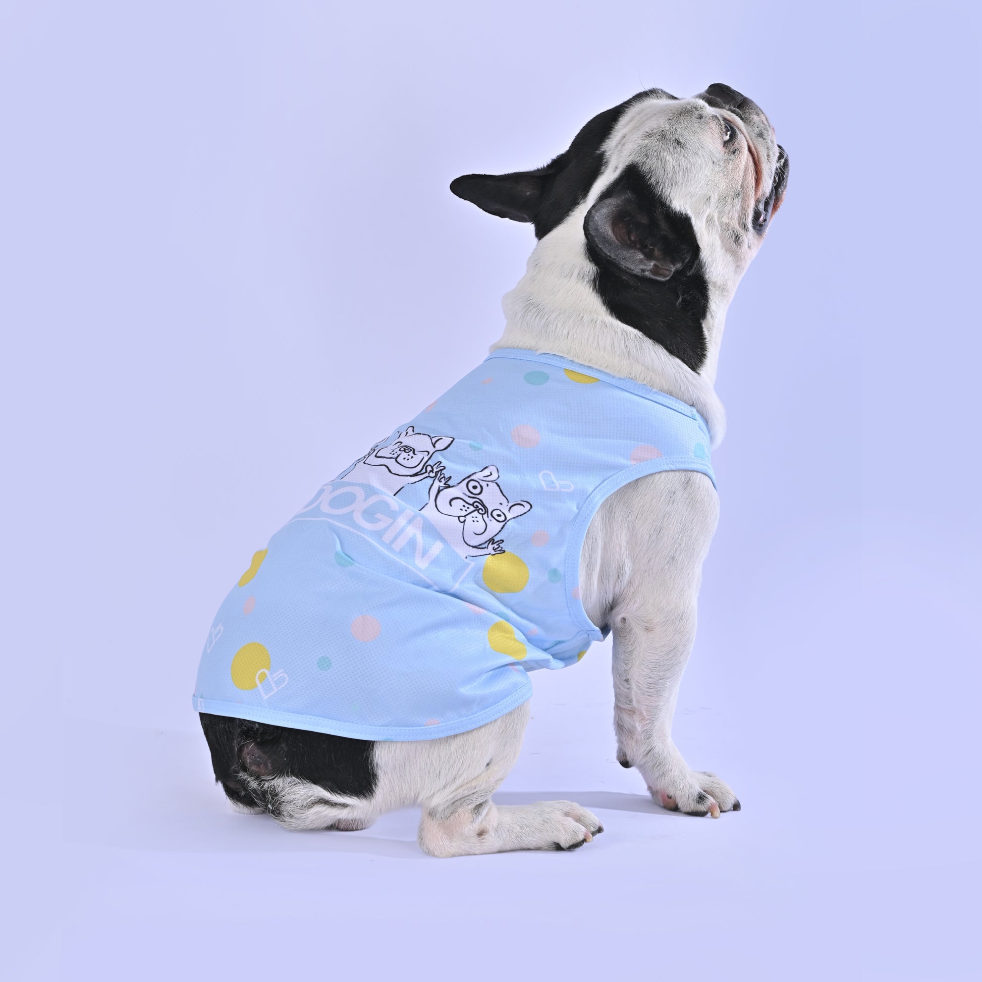 Cooling Shirt for Frenchies - Frenchie.us
