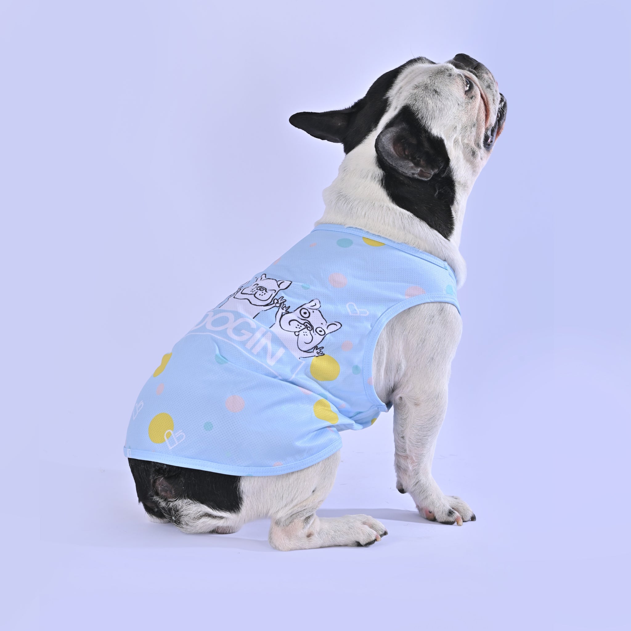 Cooling Shirt for Frenchies