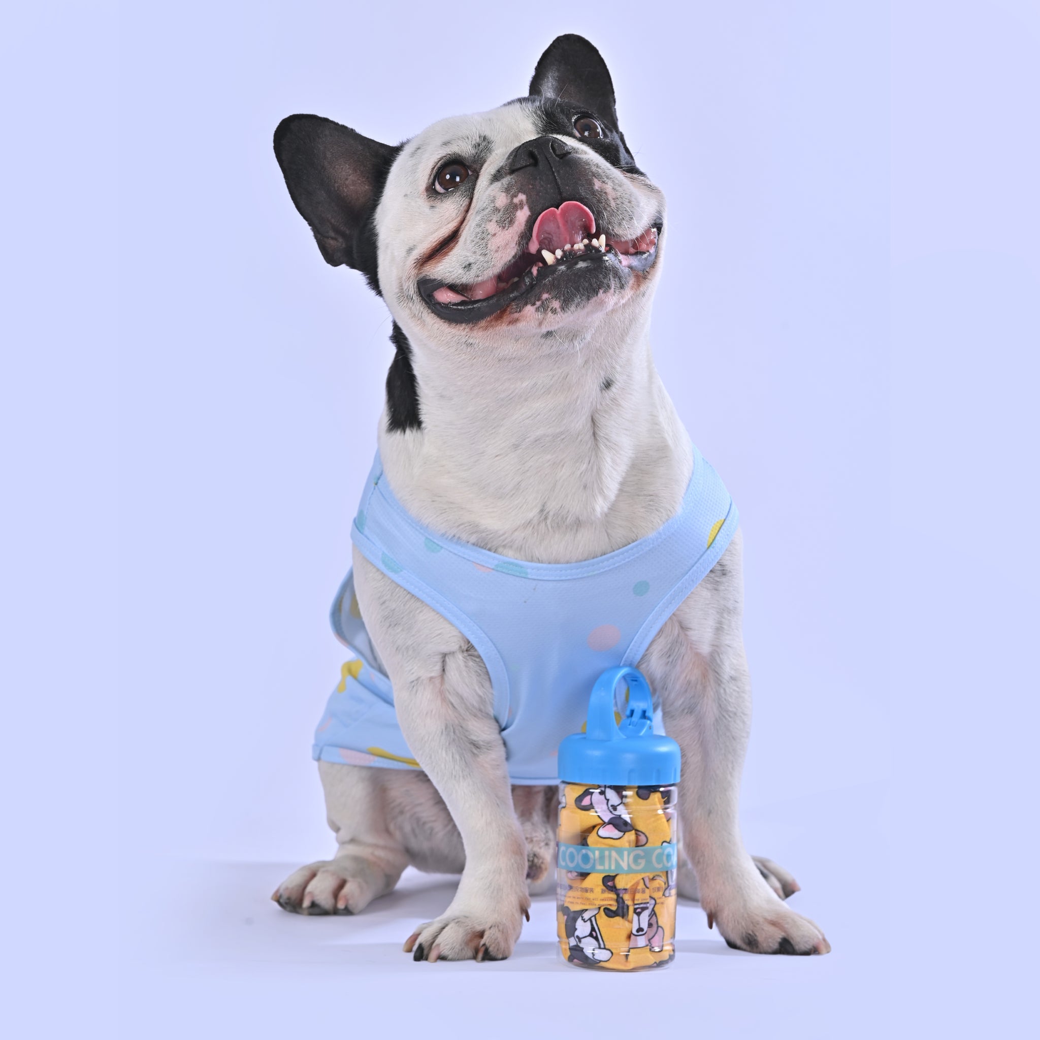 Cooling Shirt for Frenchies