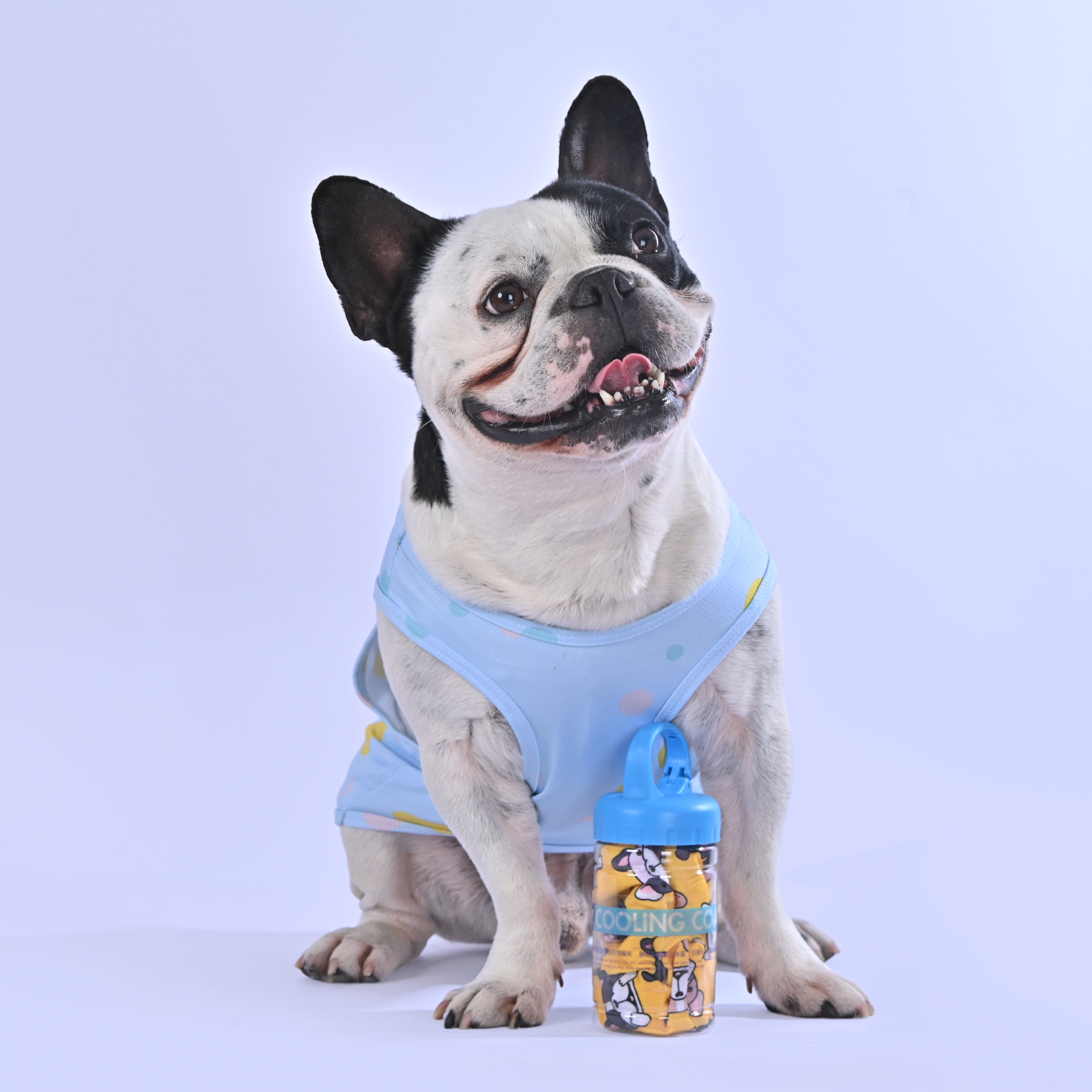 Cooling Shirt for Frenchies - Frenchie.us