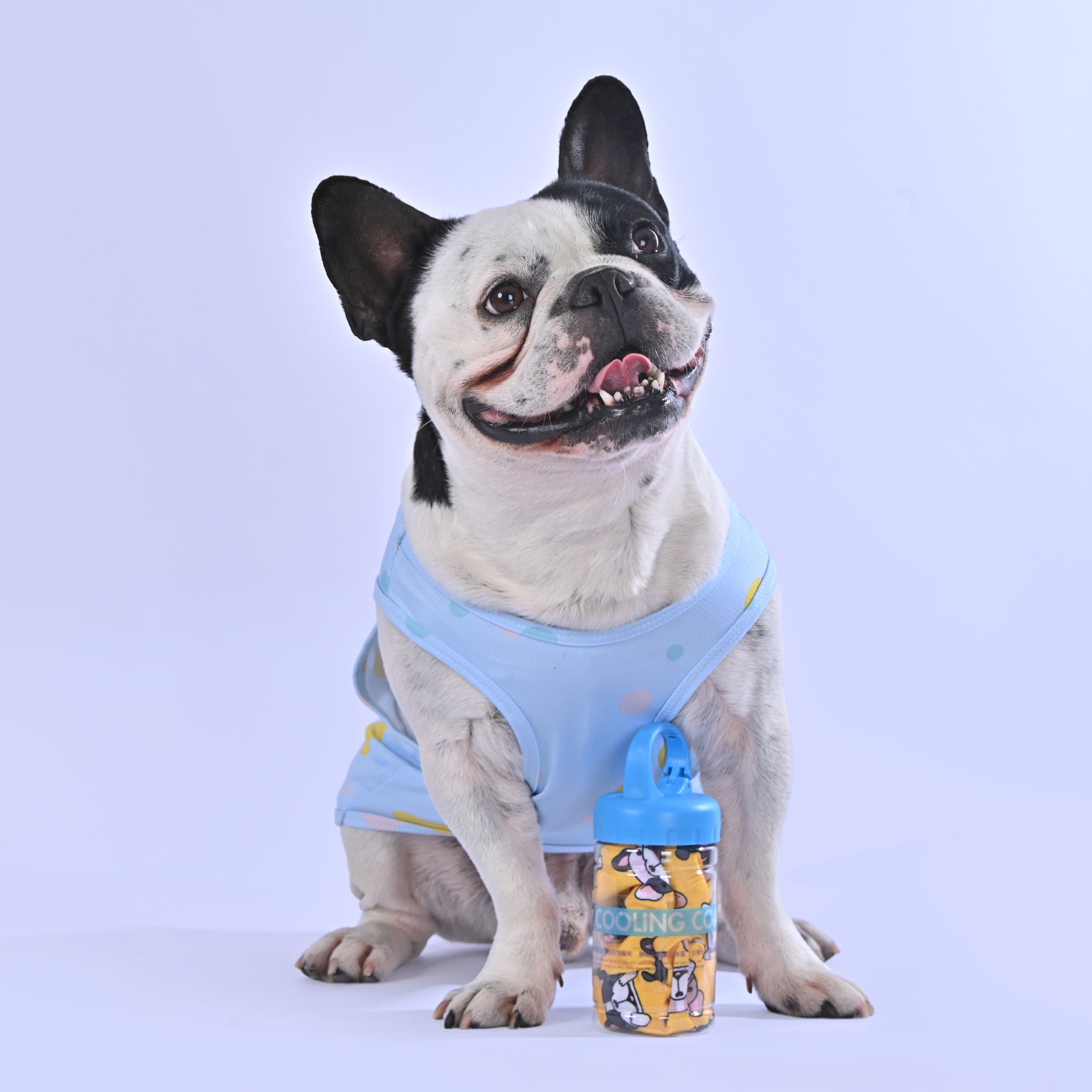 Cooling Shirt for Frenchies