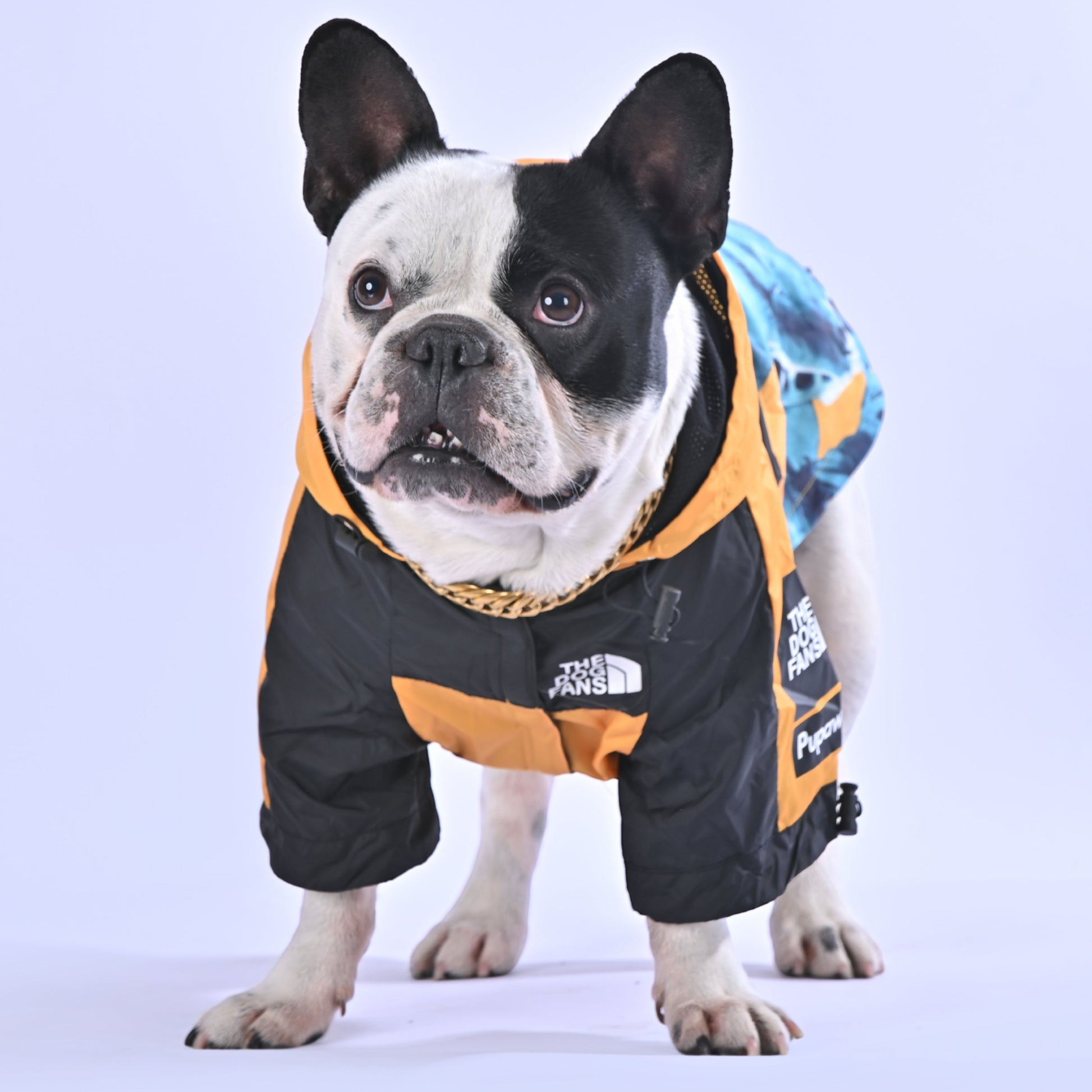 North Liberty Raincoat - Frenchie.us