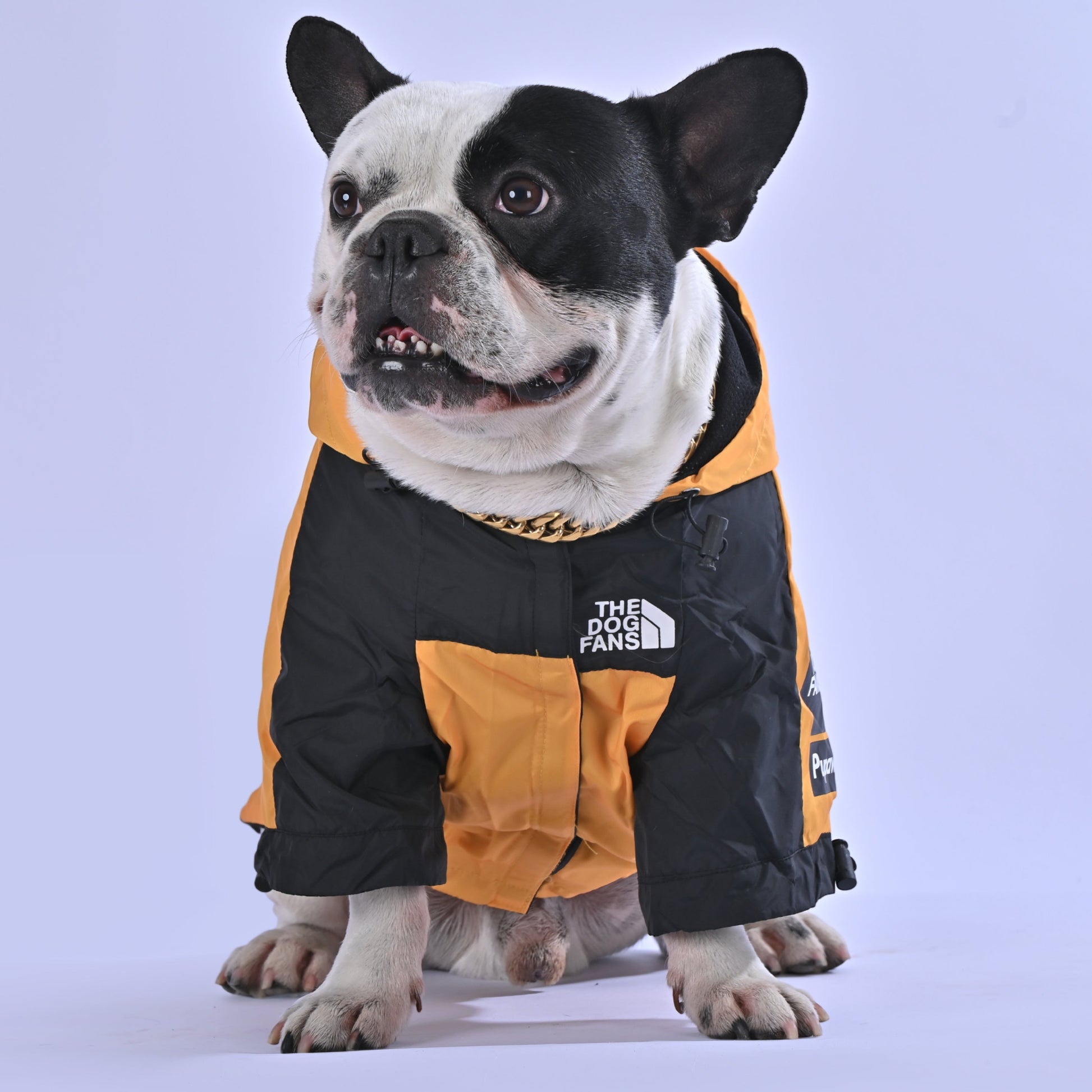 North Liberty Raincoat - Frenchie.us