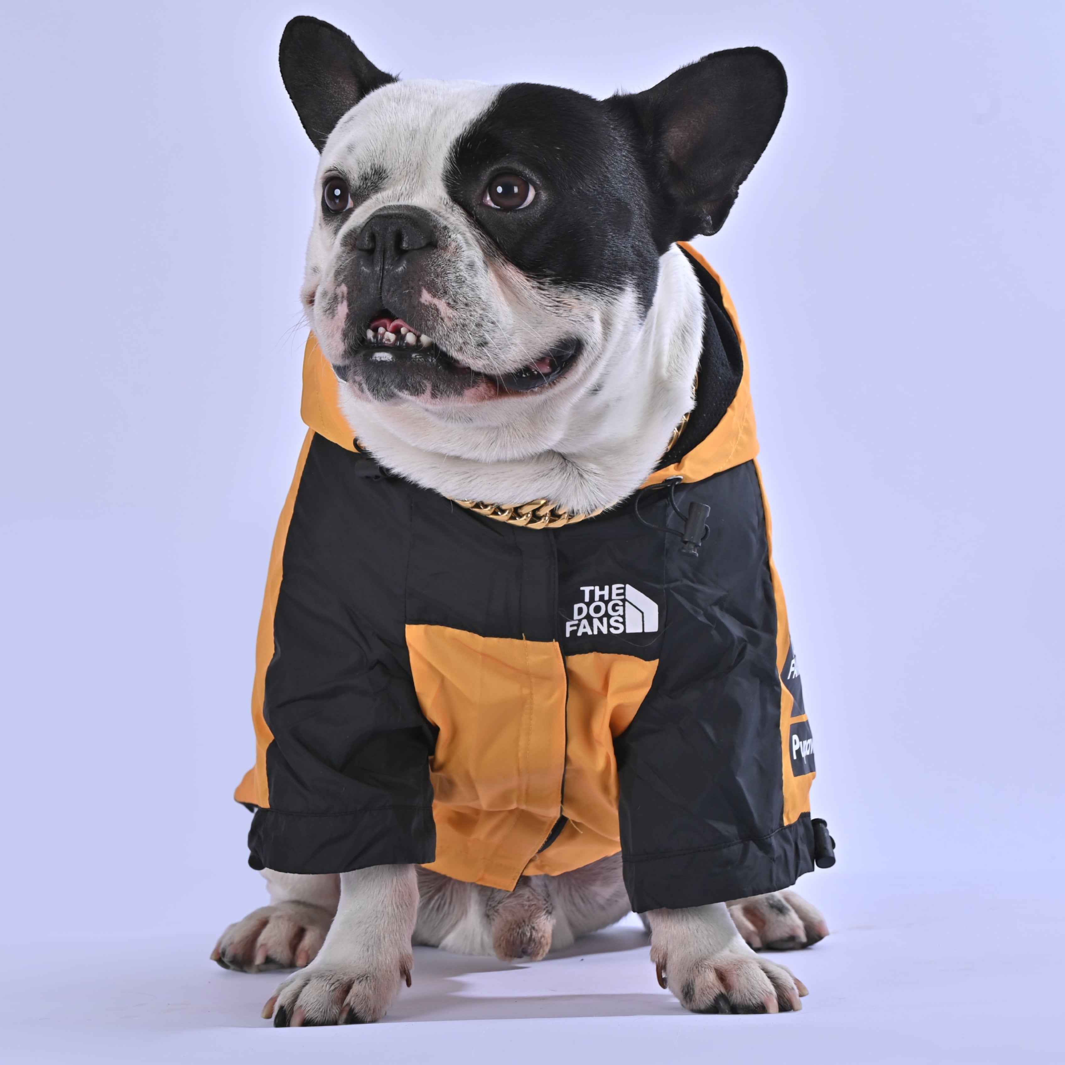 North Liberty Raincoat - Frenchie.us