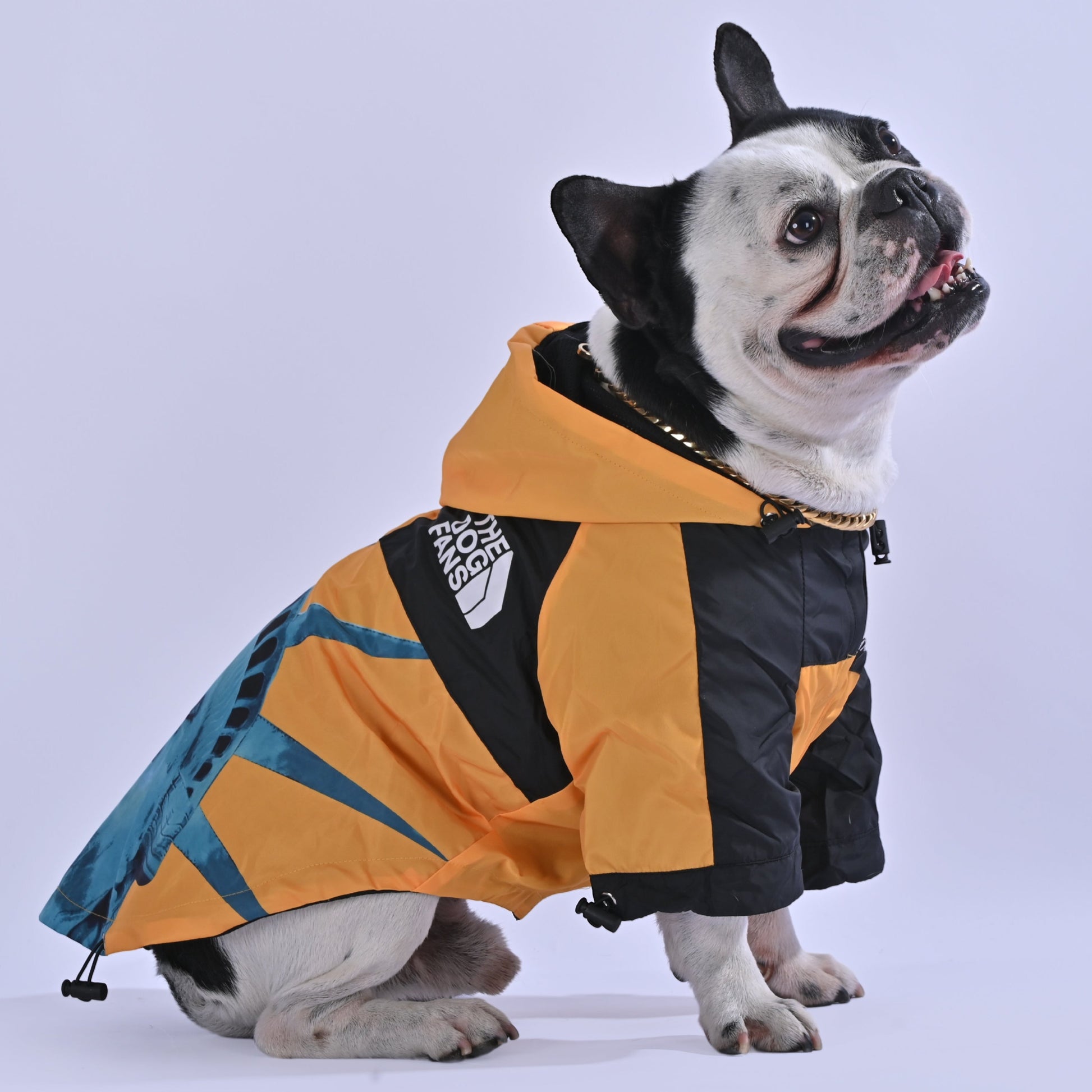 North Liberty Raincoat - Frenchie.us