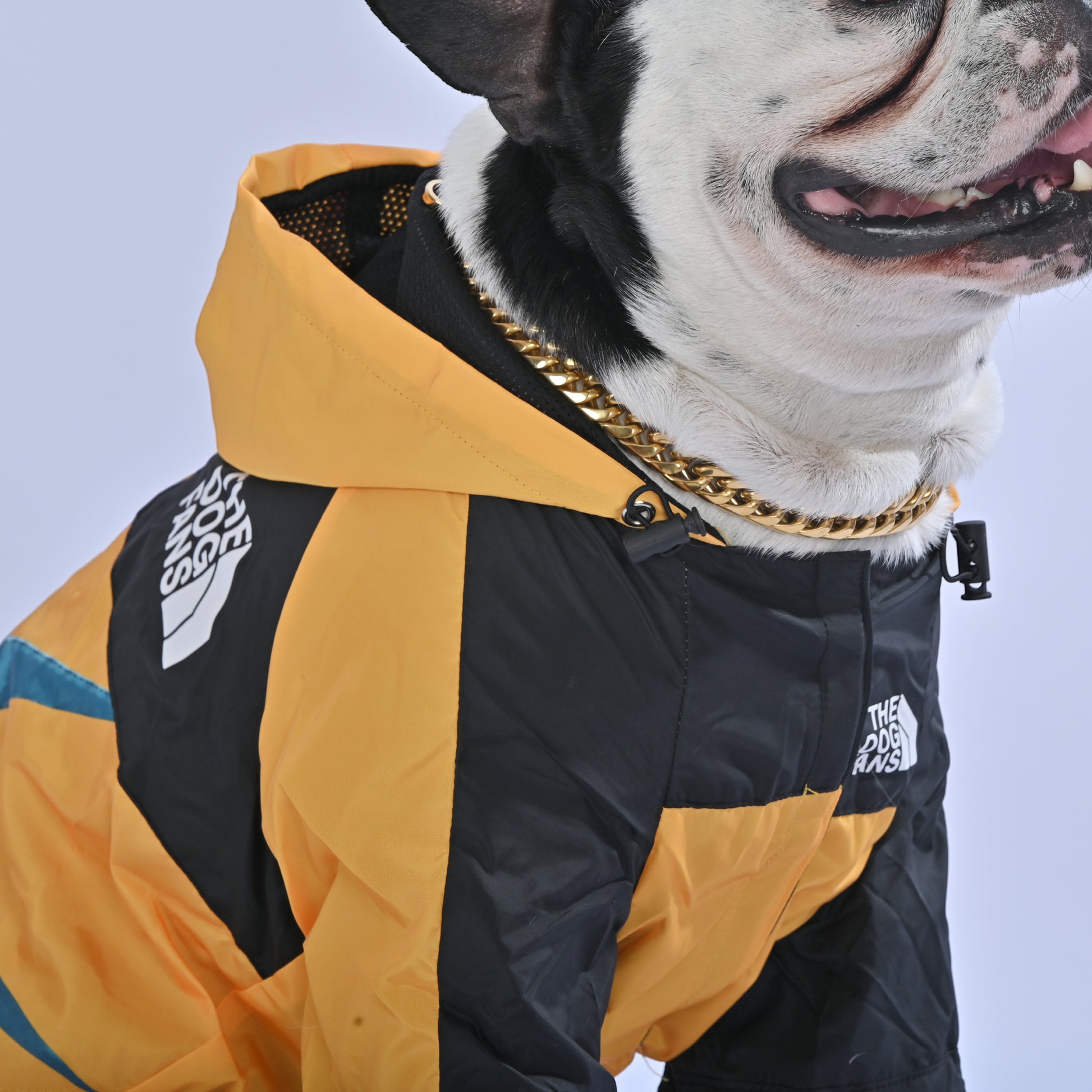 North Liberty Raincoat - Frenchie.us