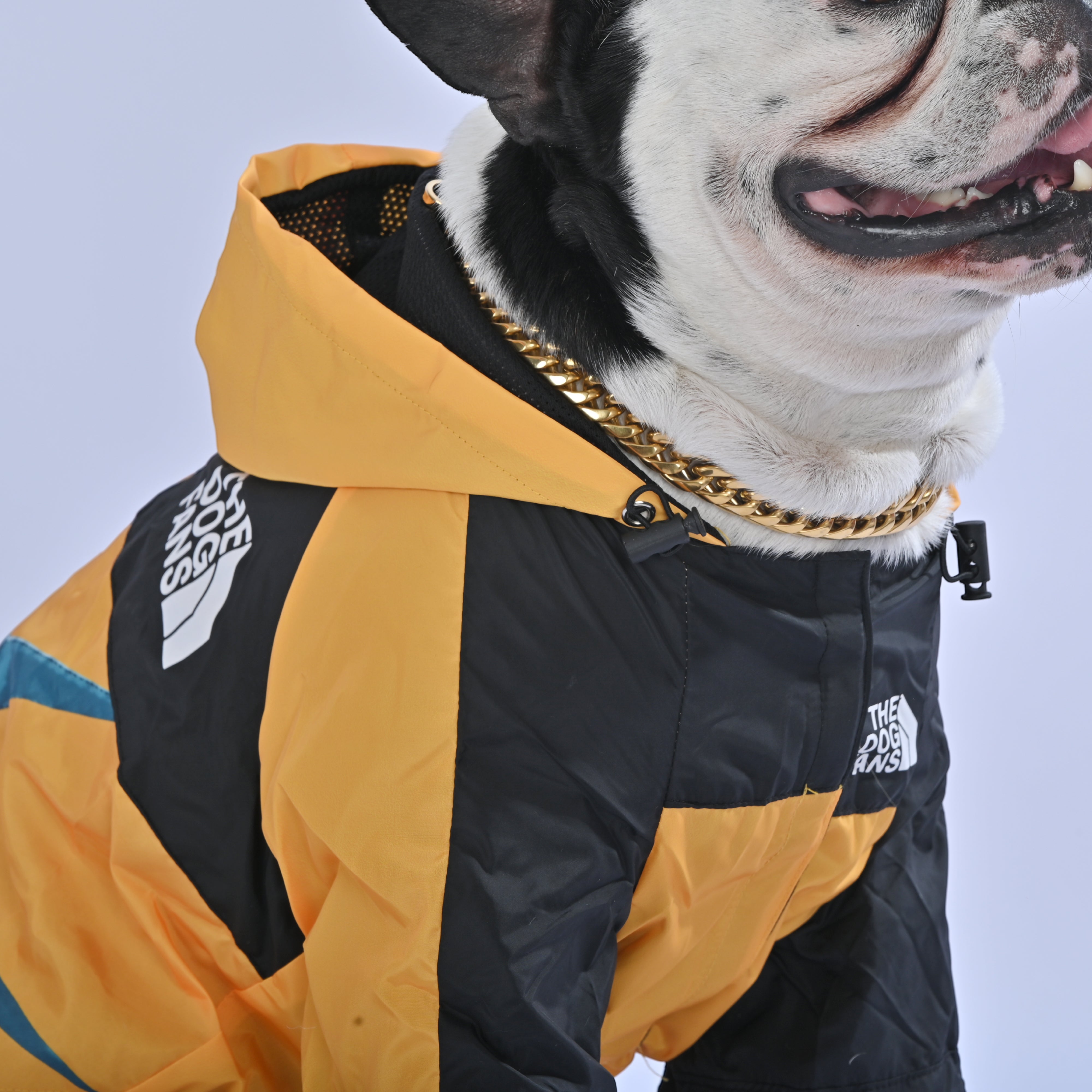North Liberty Raincoat - Frenchie.us