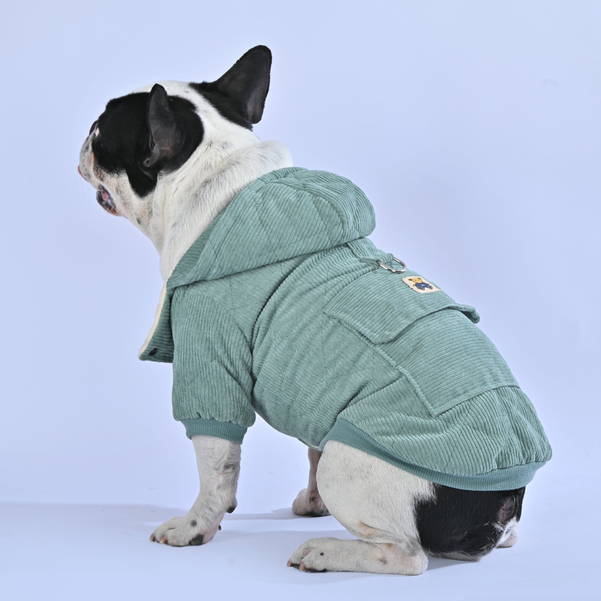 Classic Winter Special Hoodie - Frenchie.us
