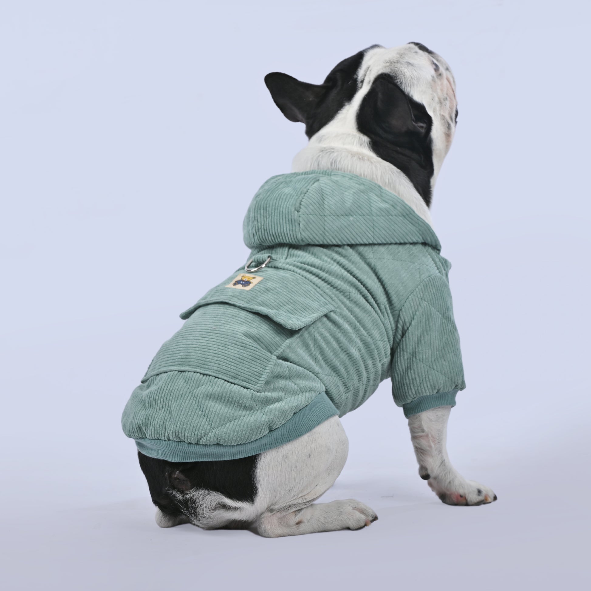 Classic Winter Special Hoodie - Frenchie.us