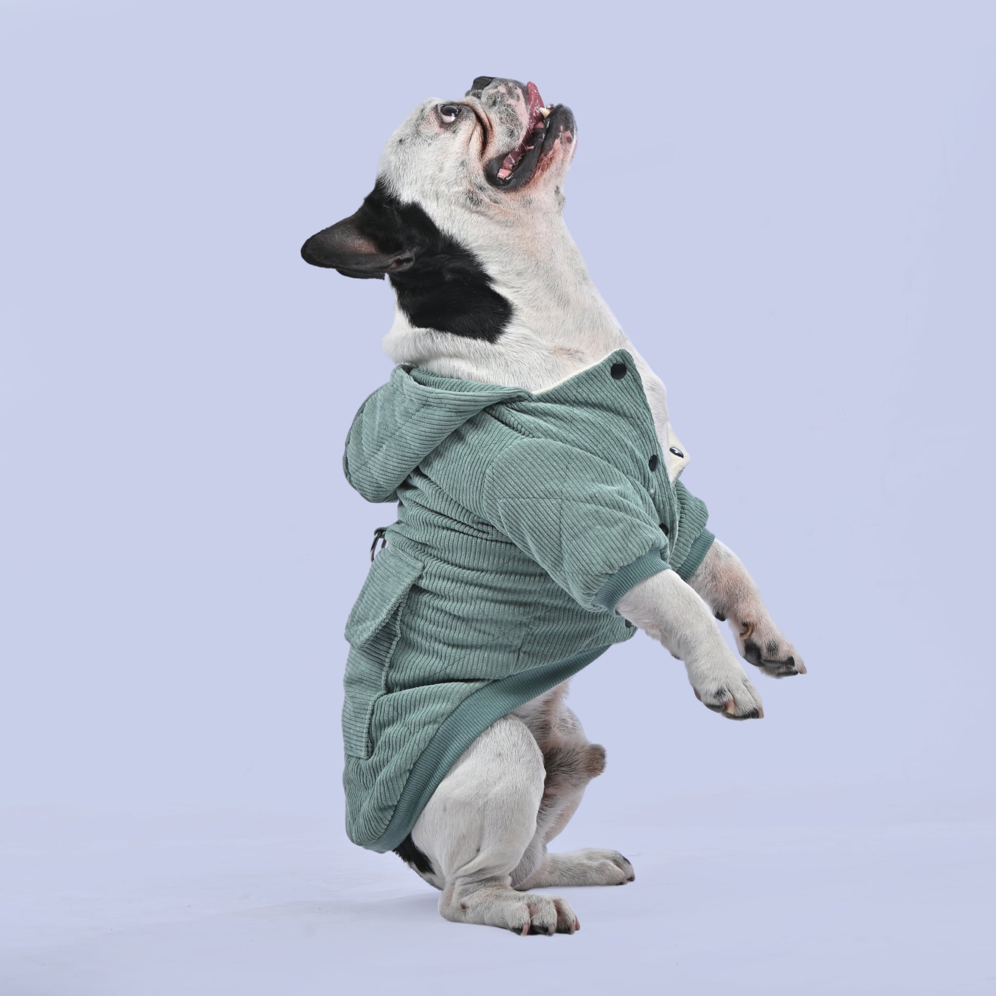 Classic Winter Special Hoodie - Frenchie.us