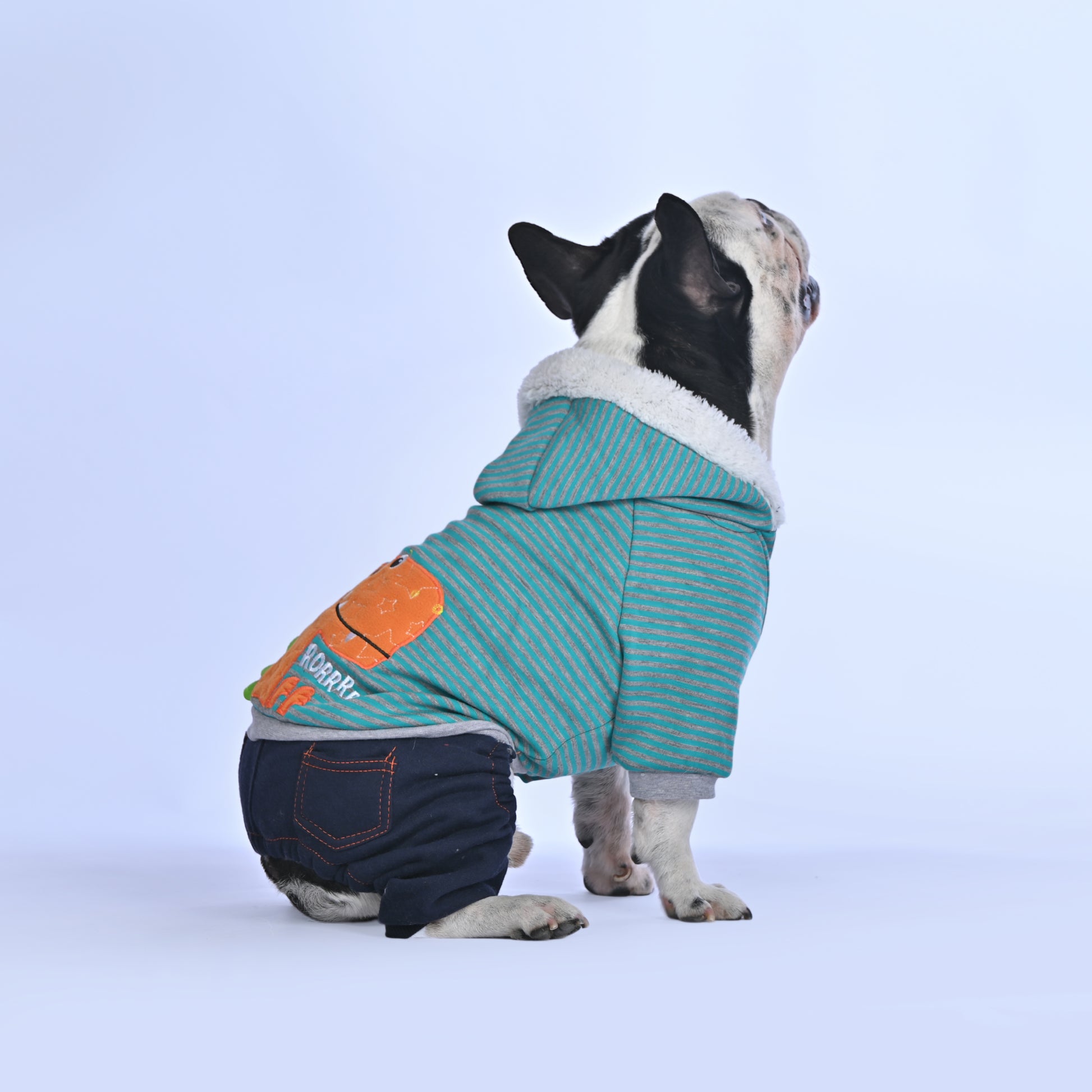 Casual Dino Hoodie - Frenchie.us