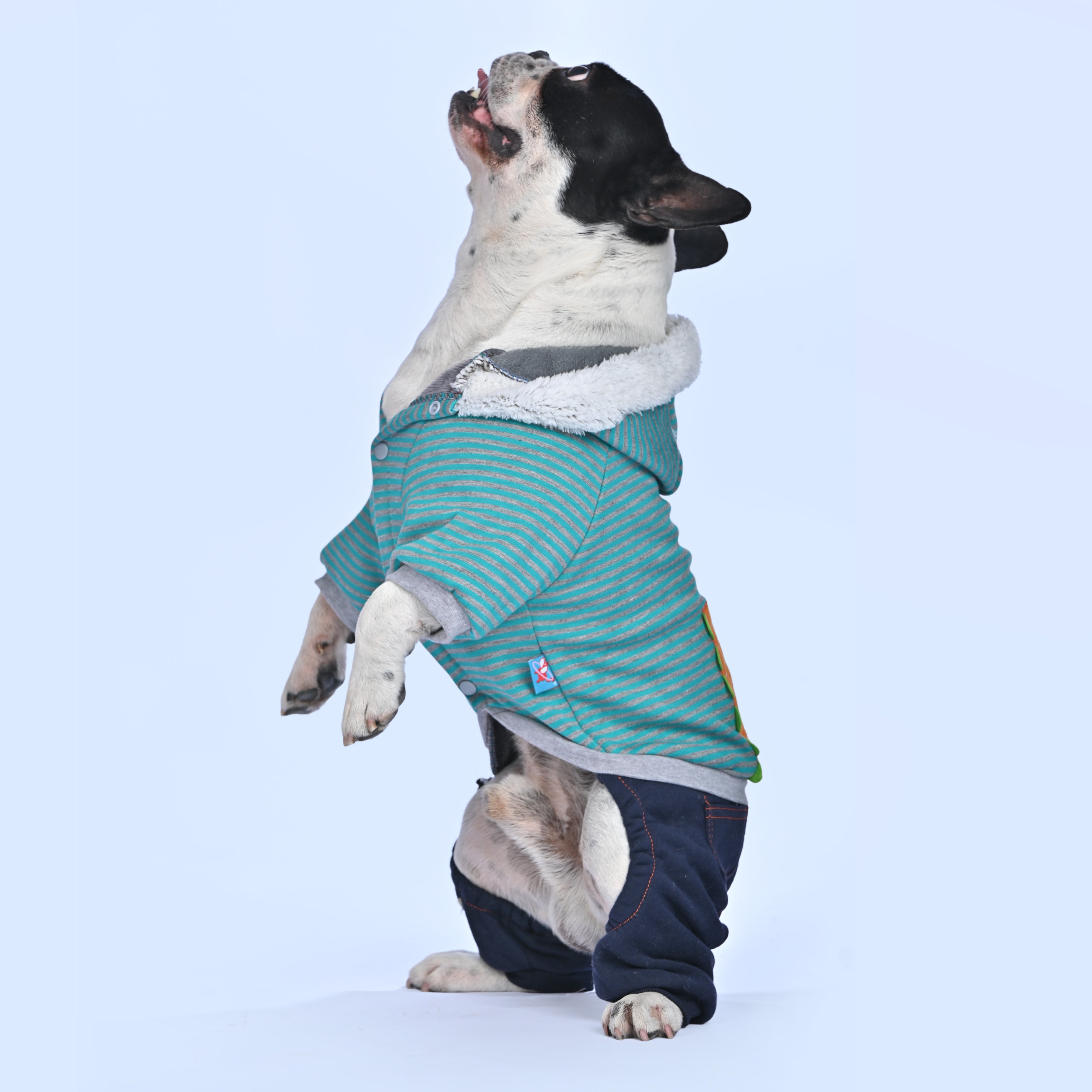 Casual Dino Hoodie - Frenchie.us