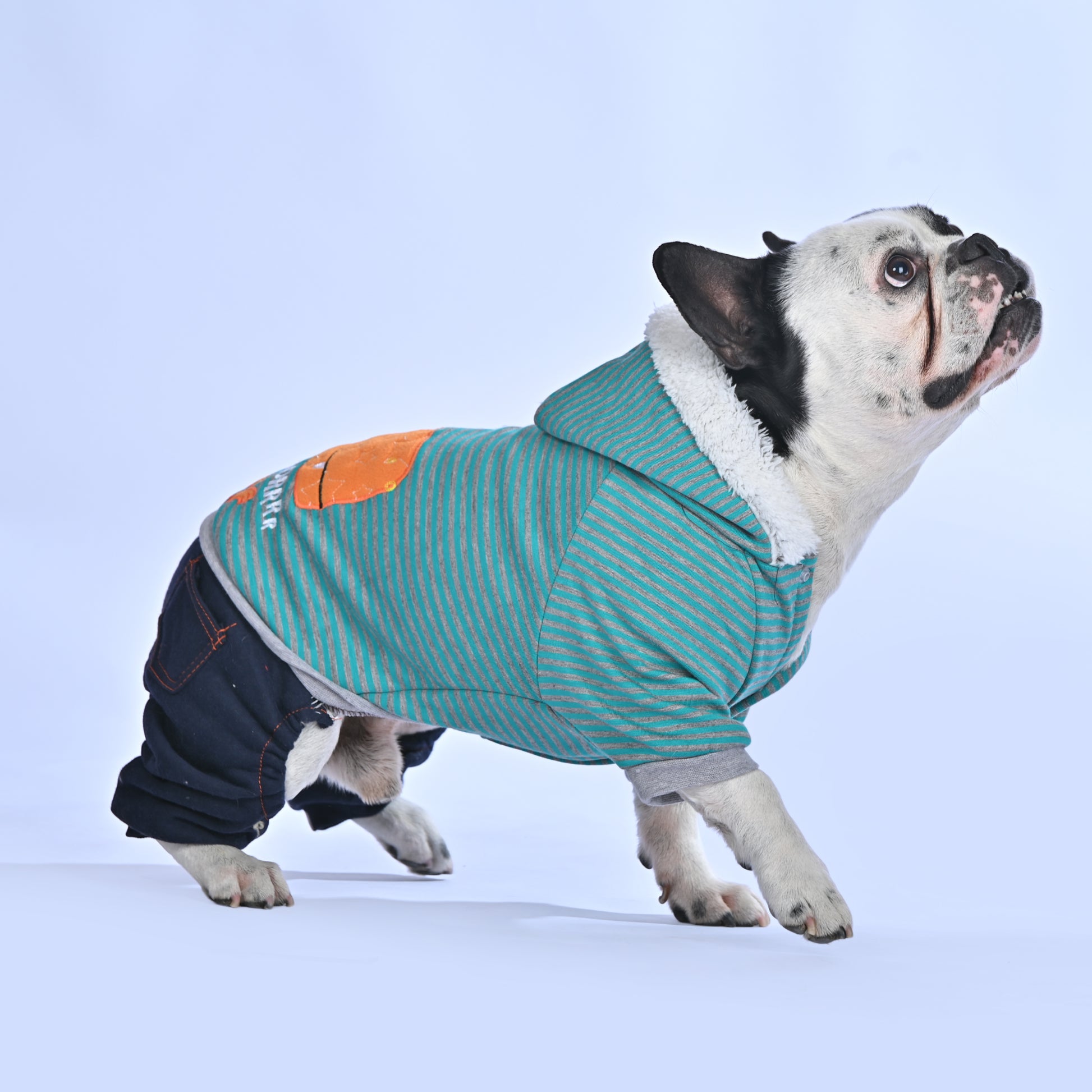 Casual Dino Hoodie - Frenchie.us
