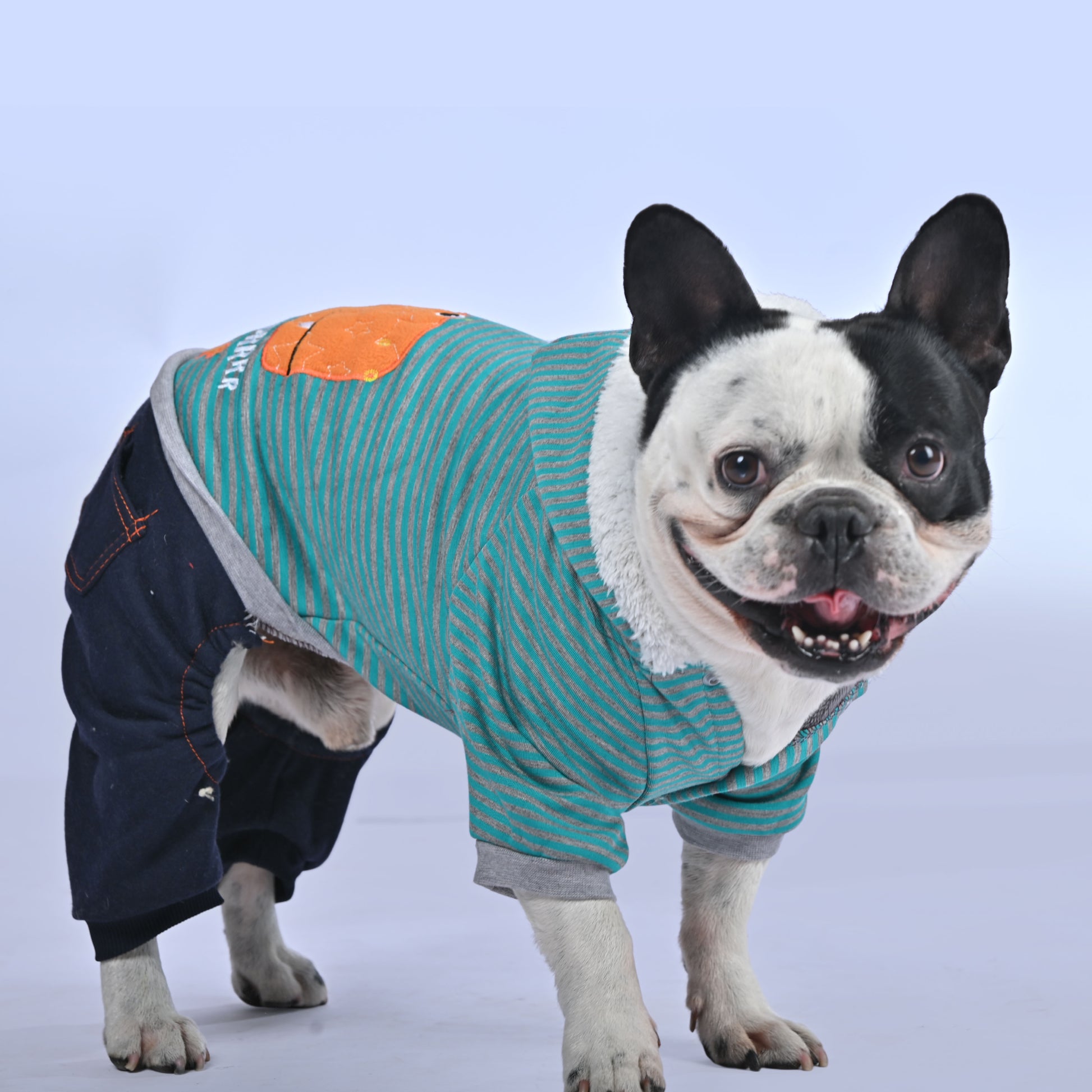 Casual Dino Hoodie - Frenchie.us