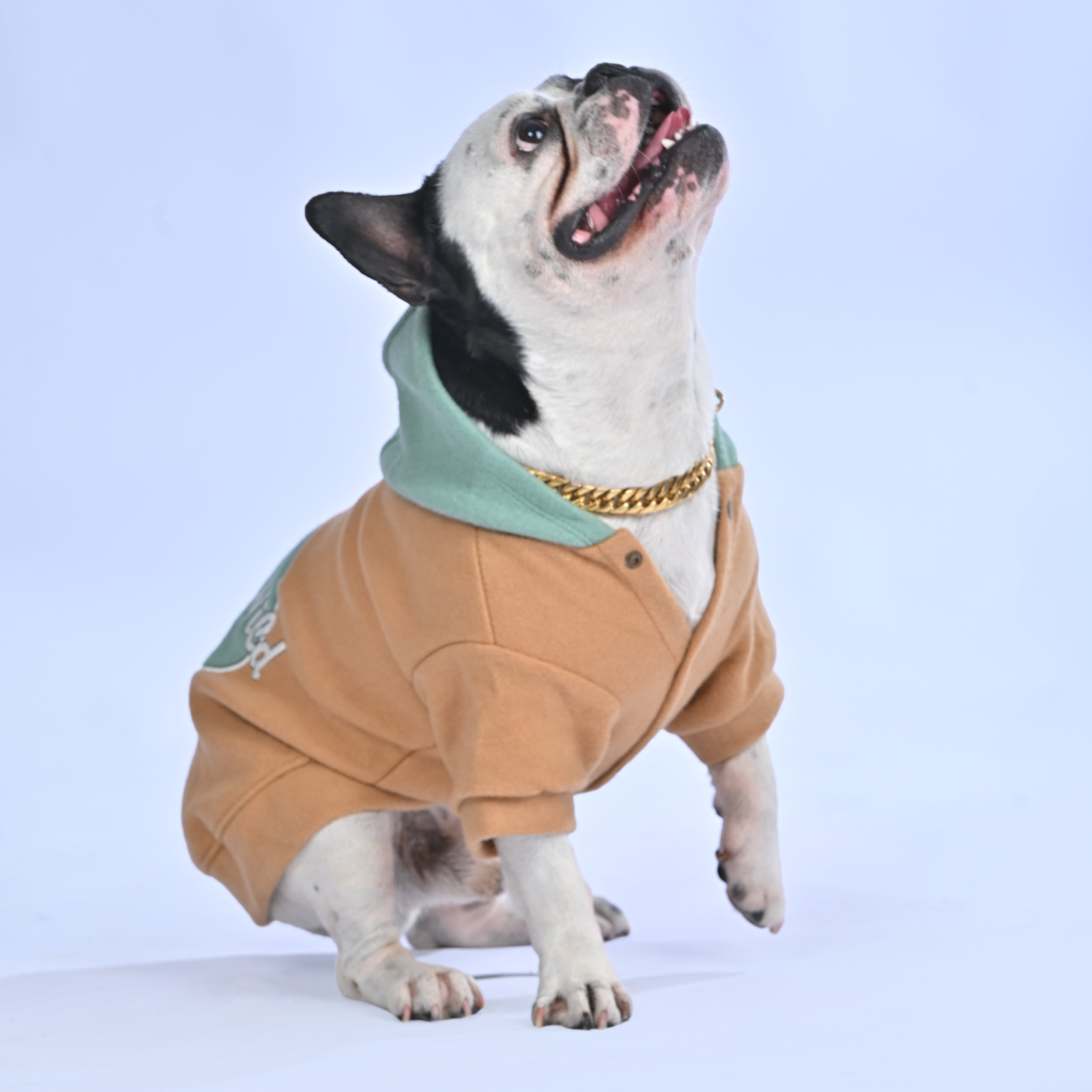Stay Wild Hoodie - Frenchie.us