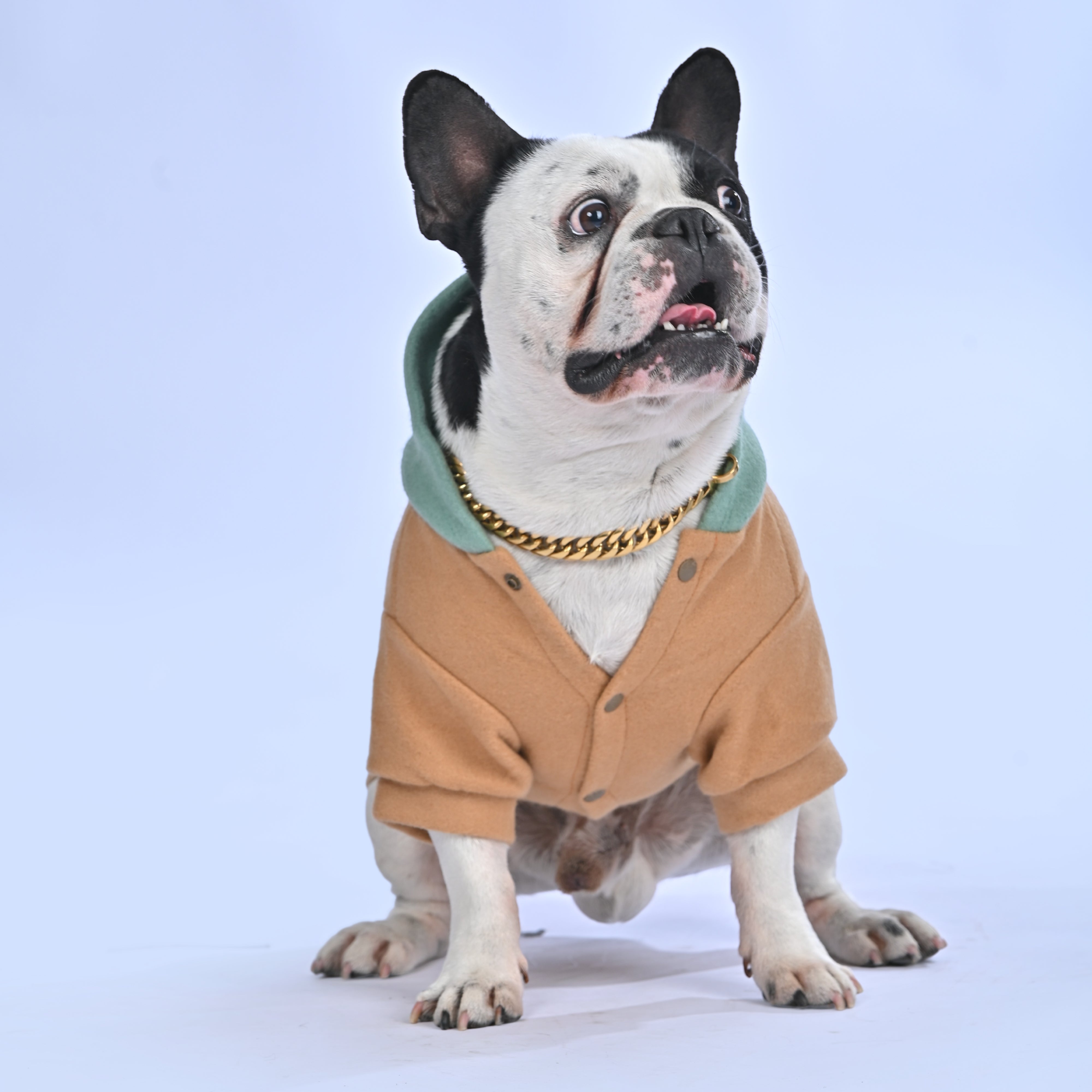 Stay Wild Hoodie - Frenchie.us