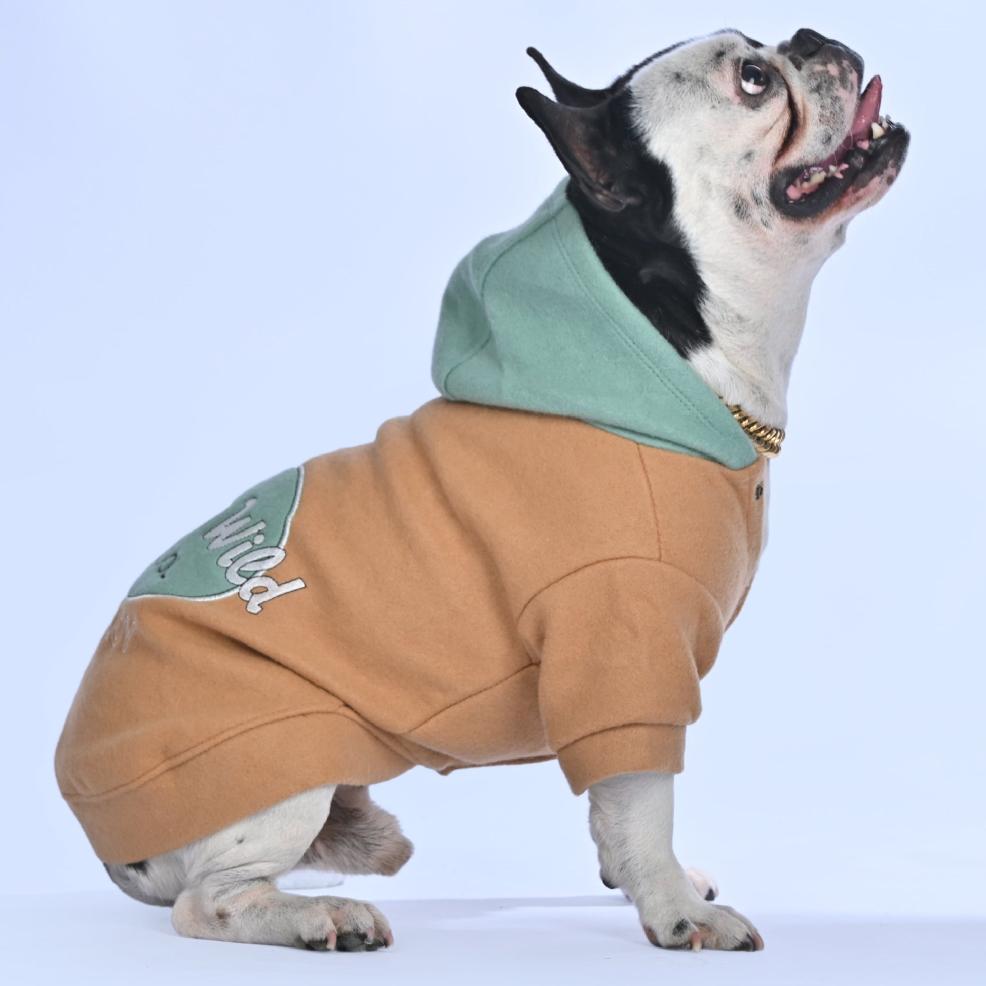 Stay Wild Hoodie - Frenchie.us