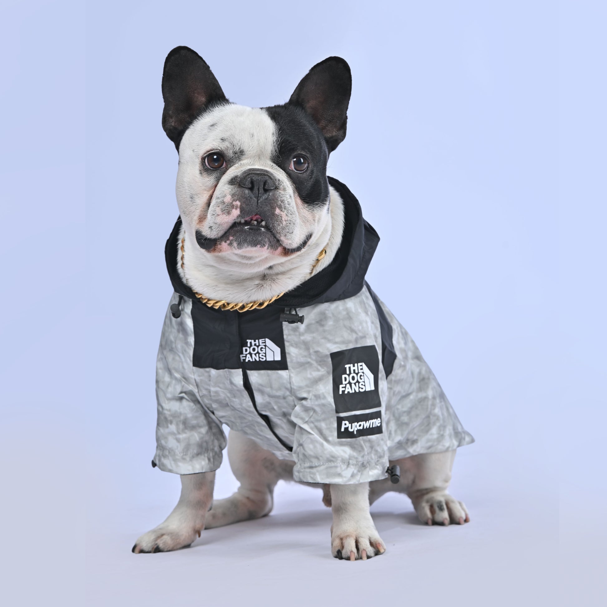 Iceberg raincoat - Frenchie.us