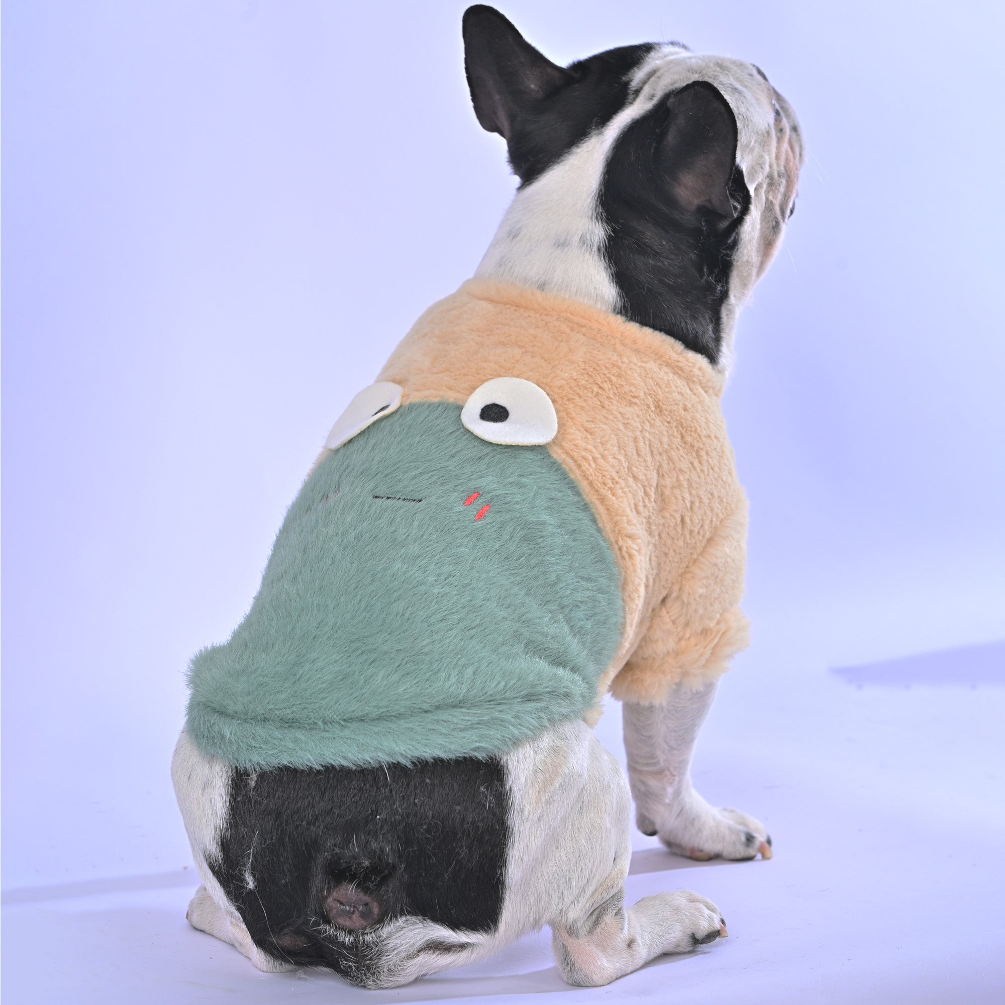 Cozy time Sweater - Frenchie.us