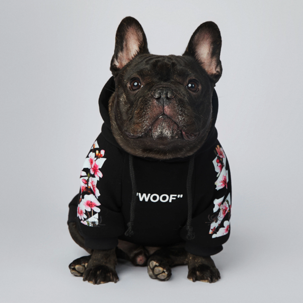 Frenchier™ - French Bulldog Woof Hoodie V2 - Frenchie.us