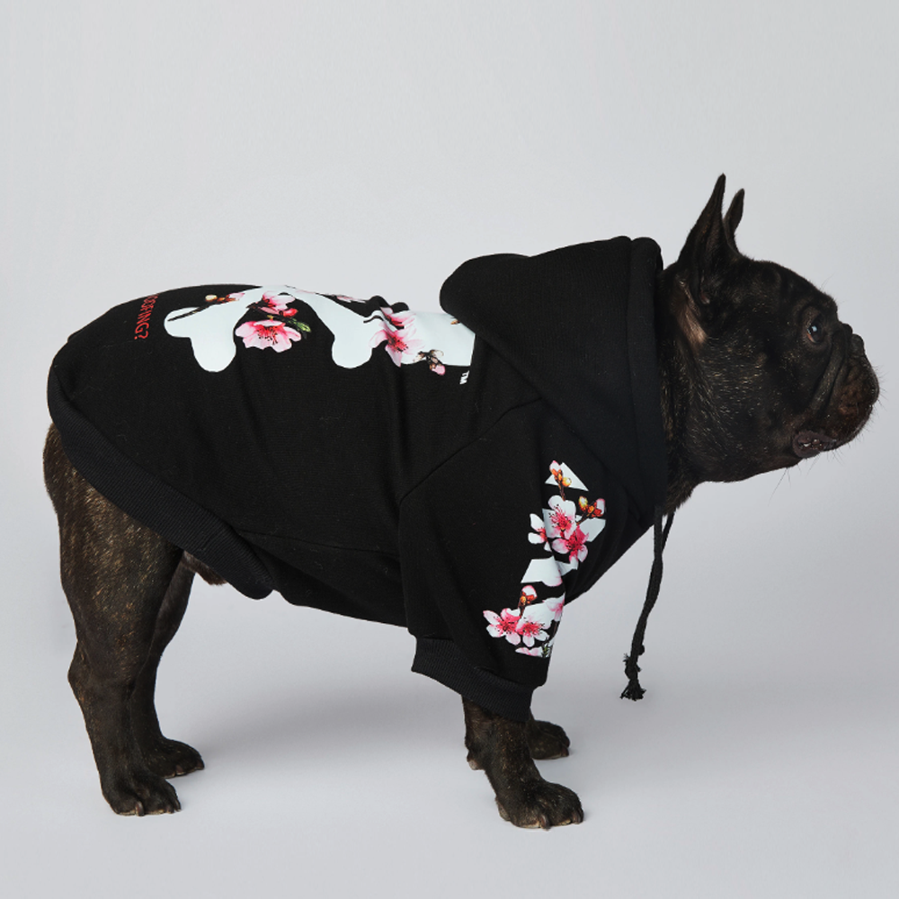 Frenchier™ - French Bulldog Woof Hoodie V2 - Frenchie.us