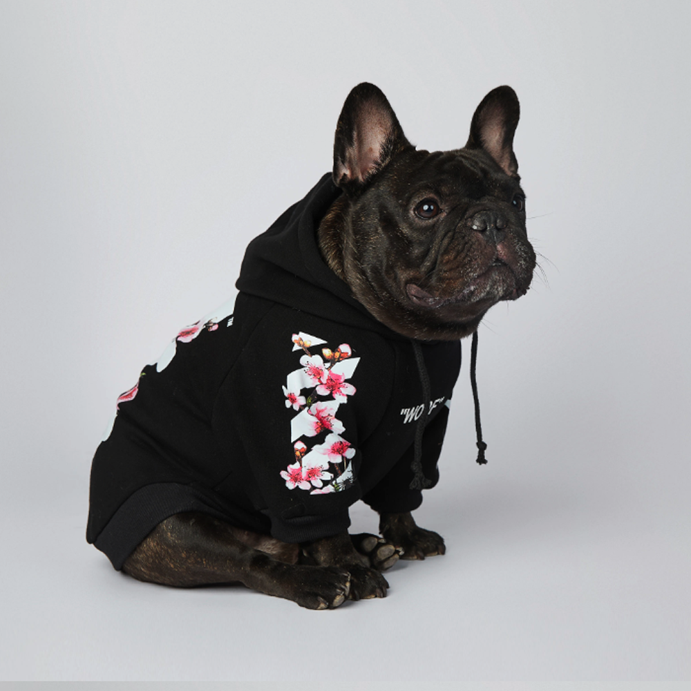 Frenchier™ - French Bulldog Woof Hoodie V2 - Frenchie.us