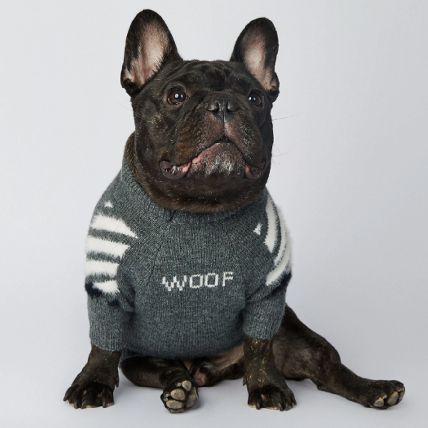 InFrenchie™ - Frenchie Woof Winter Sweater V1 - Frenchie.us