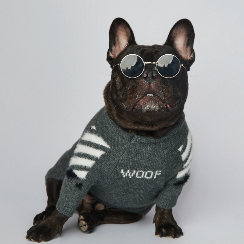 InFrenchie™ - Frenchie Woof Winter Sweater V1 - Frenchie.us
