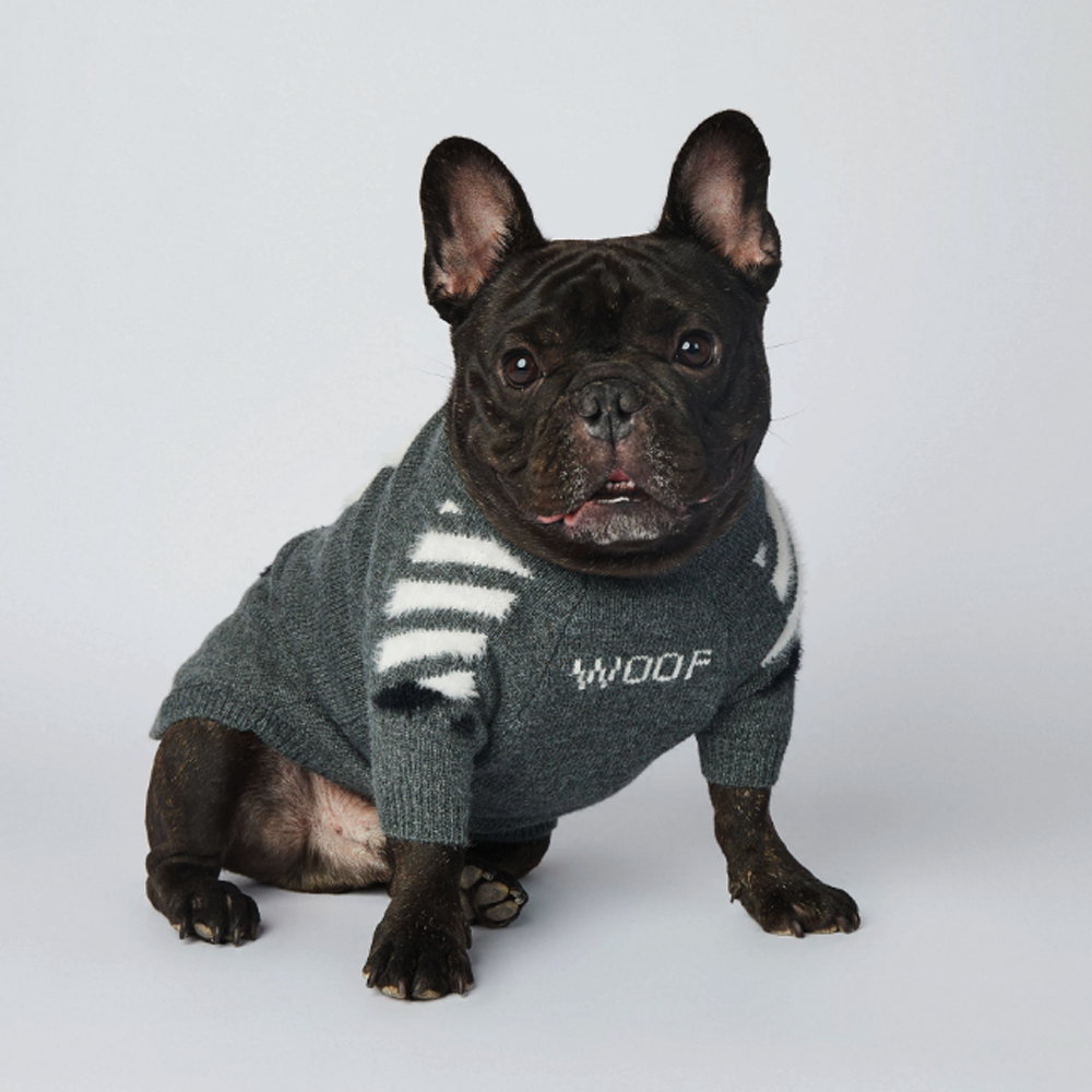 InFrenchie™ - Frenchie Woof Winter Sweater V1 - Frenchie.us