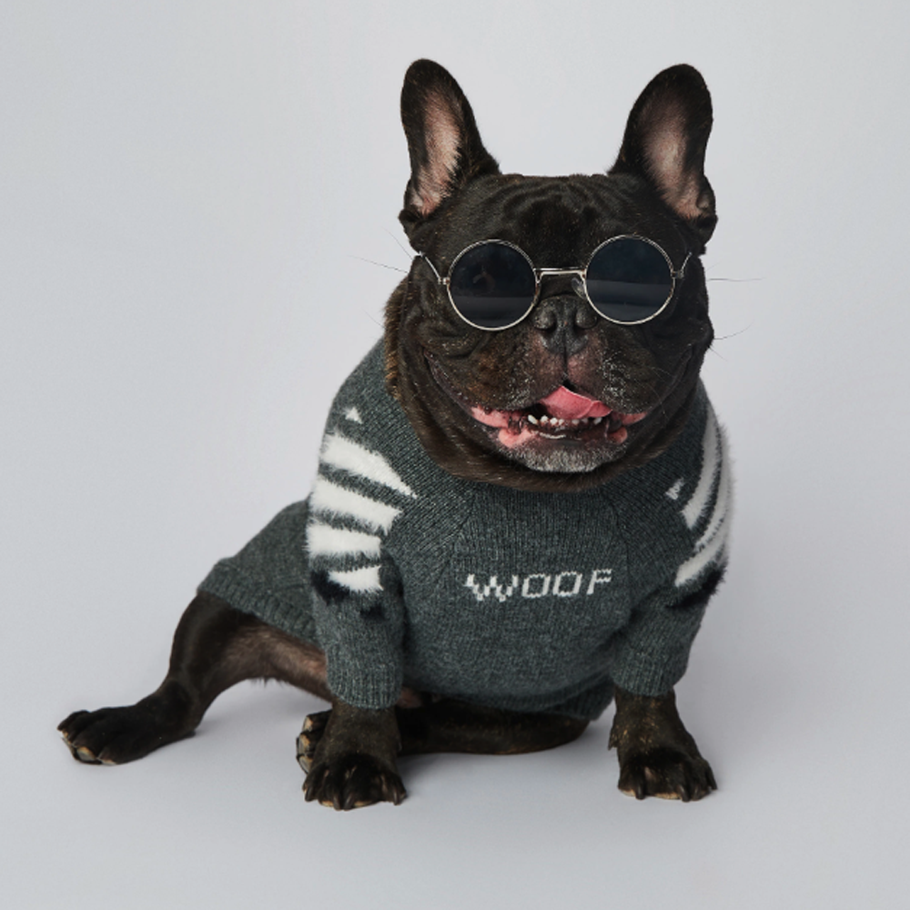 InFrenchie™ - Frenchie Woof Winter Sweater V1 - Frenchie.us