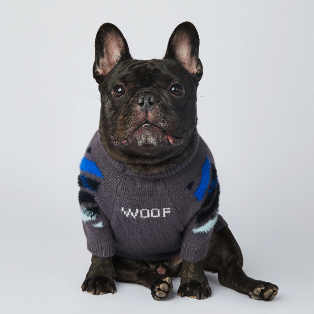 InFrenchie™ - Frenchie Woof Winter Sweater V2 - Frenchie.us