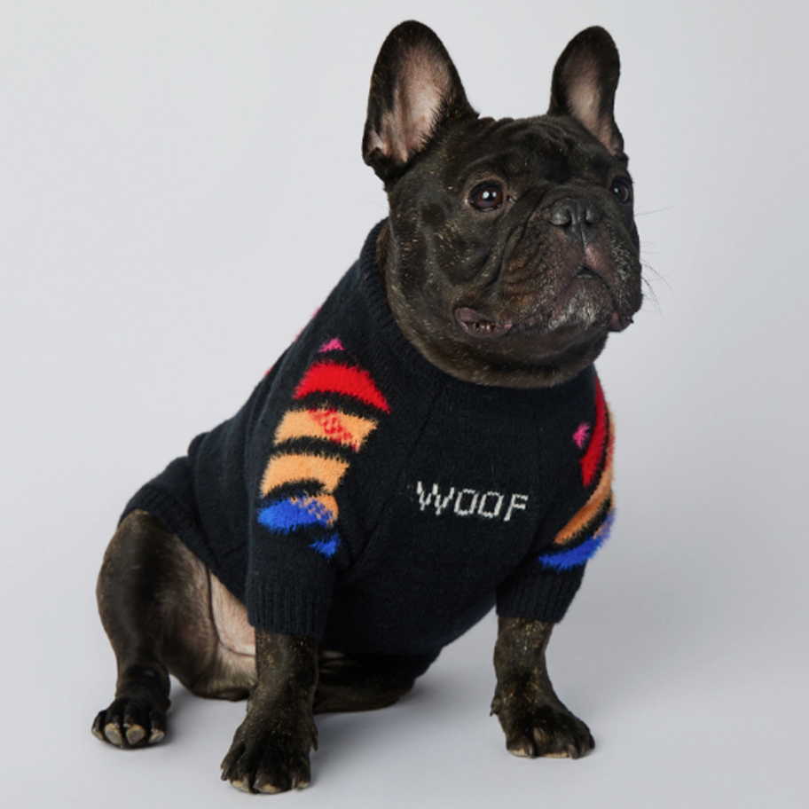 InFrenchie™ - Frenchie Woof Winter Sweater V3 - Frenchie.us