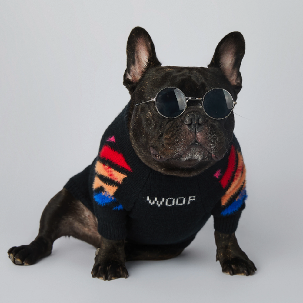 InFrenchie™ - Frenchie Woof Winter Sweater V3 - Frenchie.us