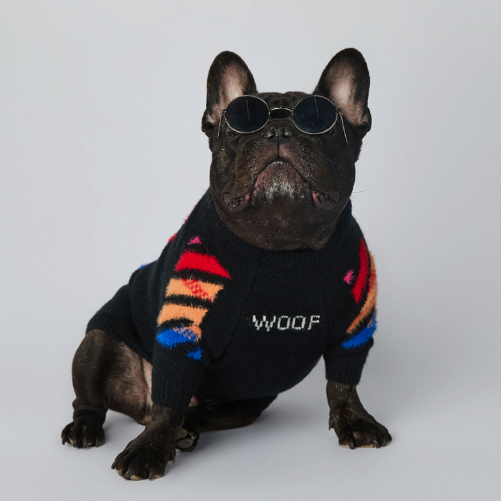 InFrenchie™ - Frenchie Woof Winter Sweater V3 - Frenchie.us