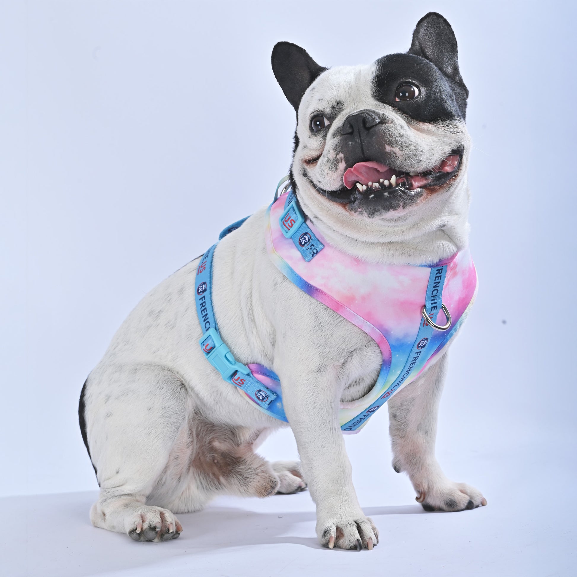 Galaxies - Frenchie.us Harness - Frenchie.us