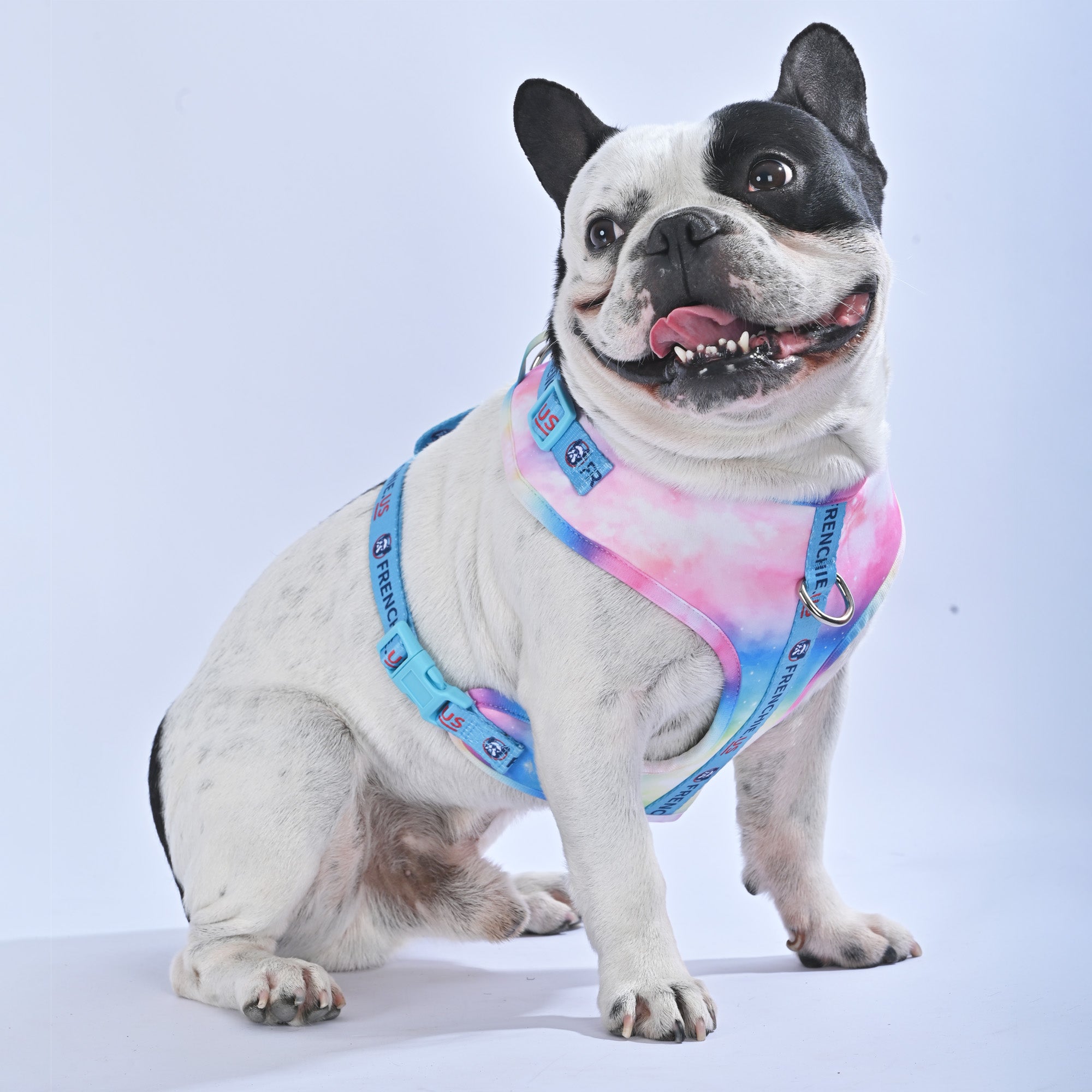 Galaxies - Frenchie.us Harness - Frenchie.us
