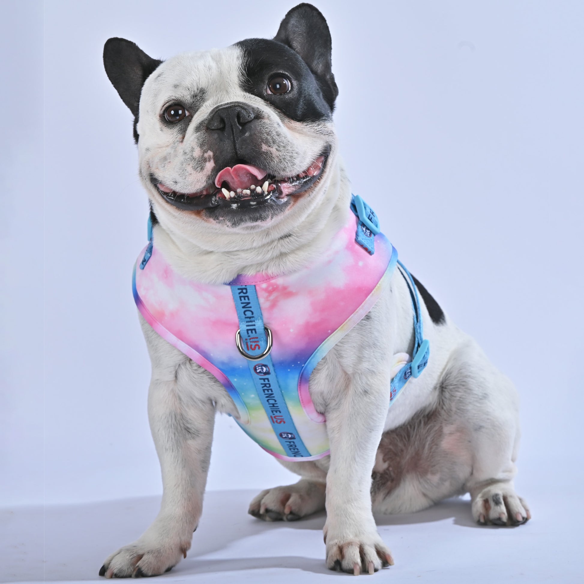 Galaxies - Frenchie.us Harness - Frenchie.us