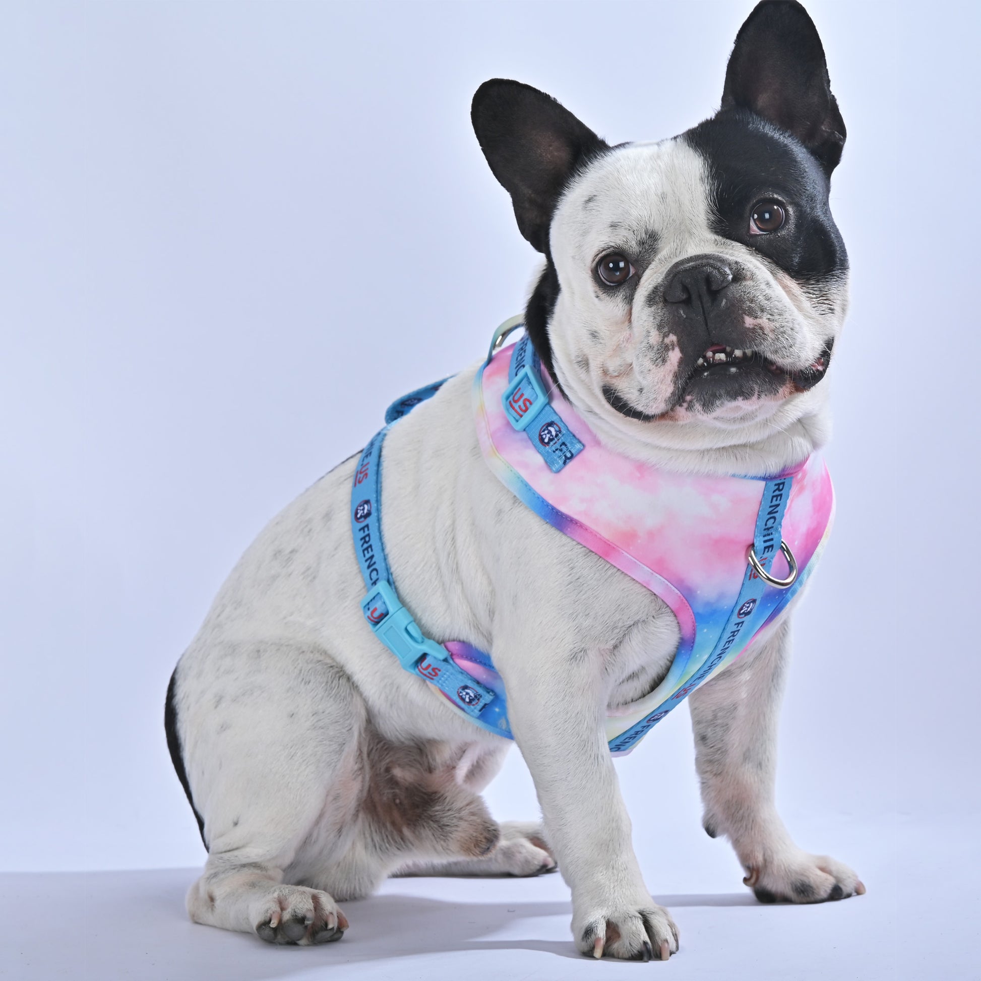 Galaxies - Frenchie.us Harness - Frenchie.us