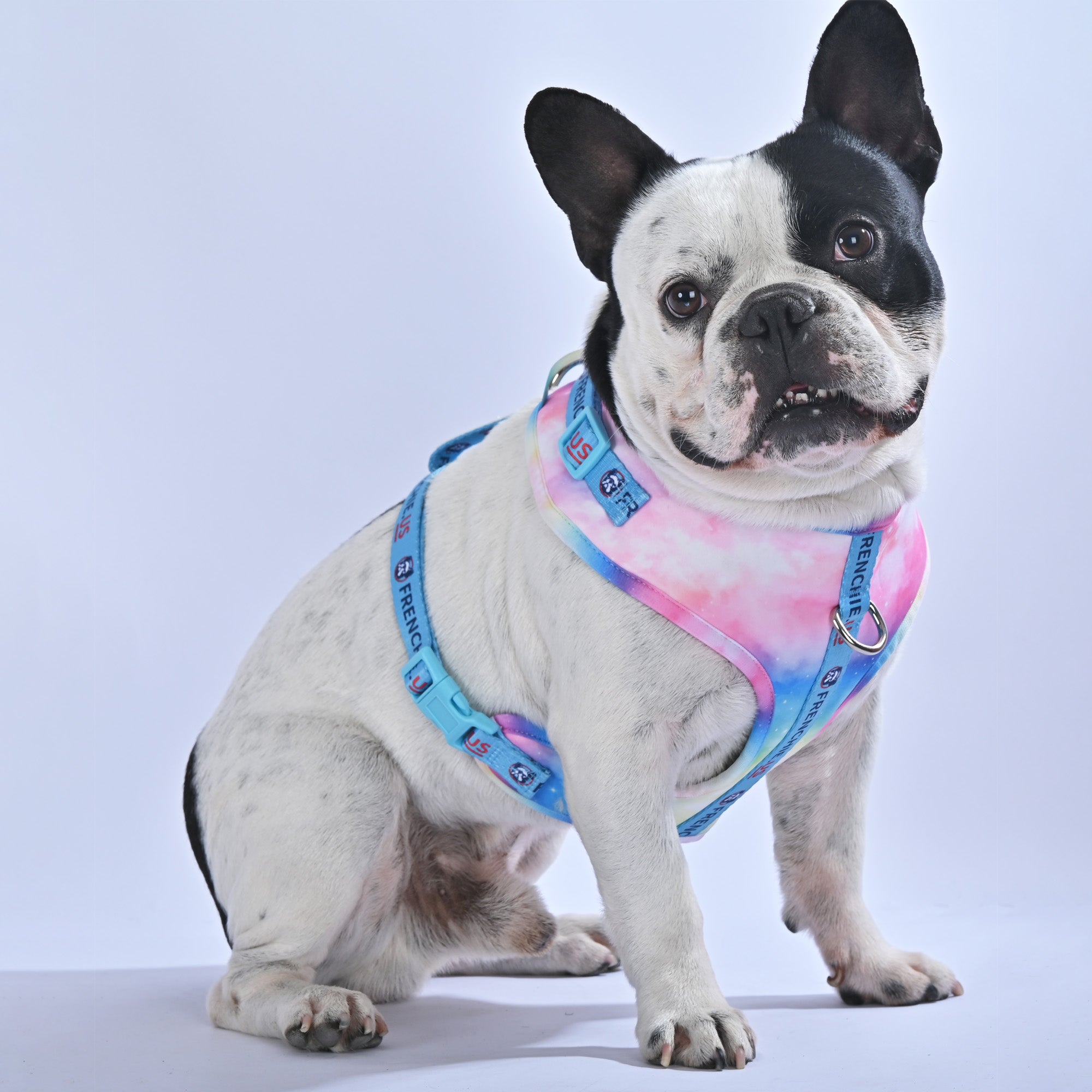 Galaxies - Frenchie.us Harness - Frenchie.us