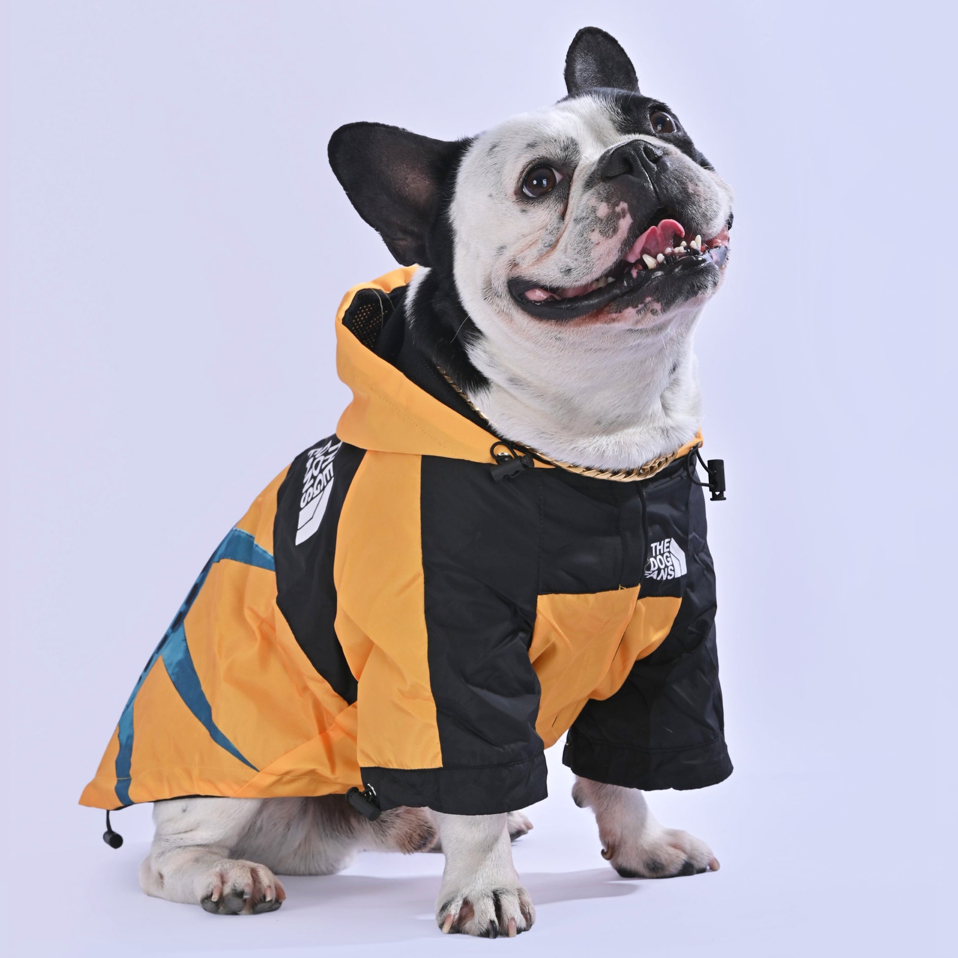 North Liberty Raincoat - Frenchie.us